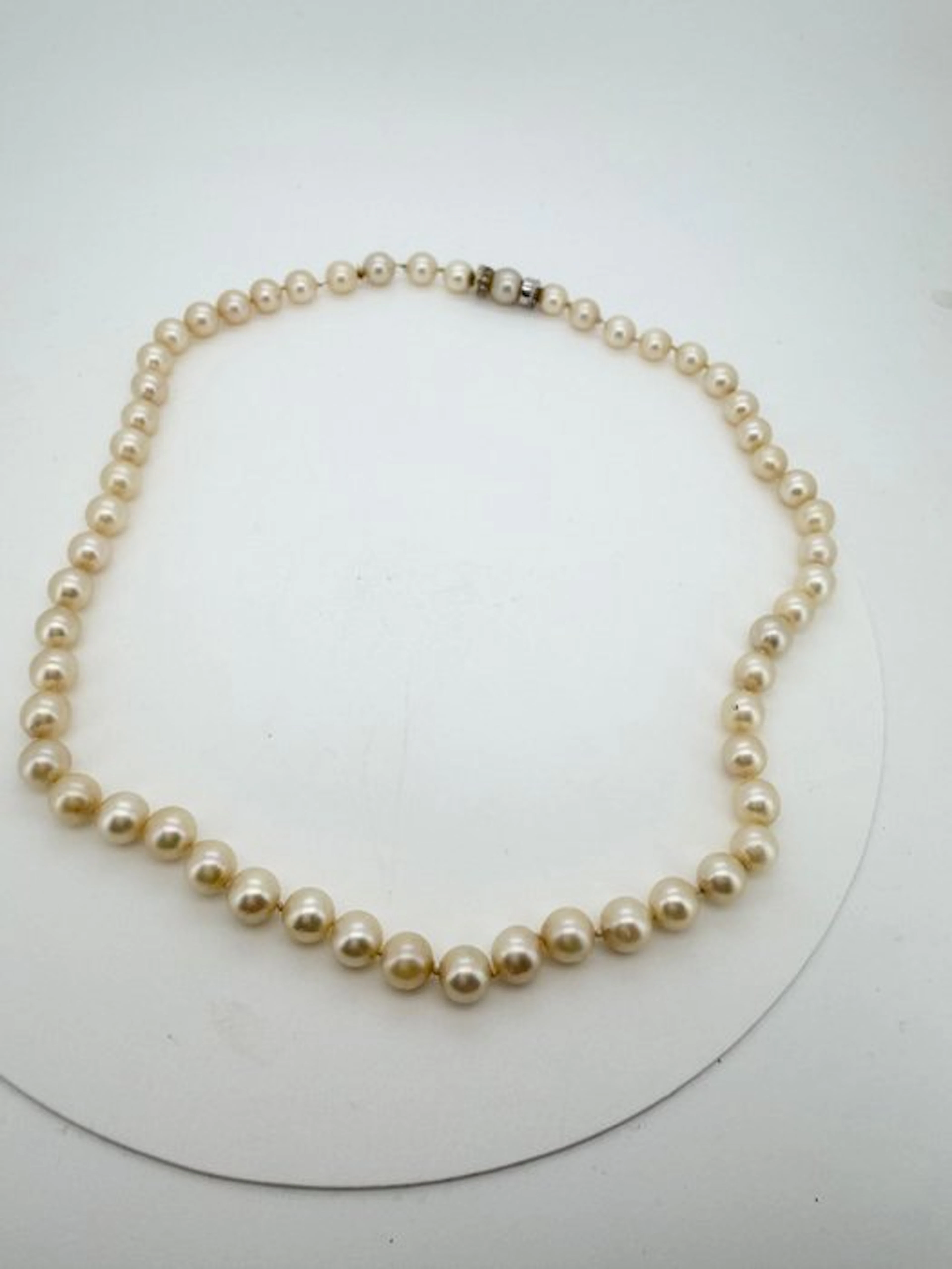 No reserve price - Necklace - 18 kt. White gold Pearl - Diamond