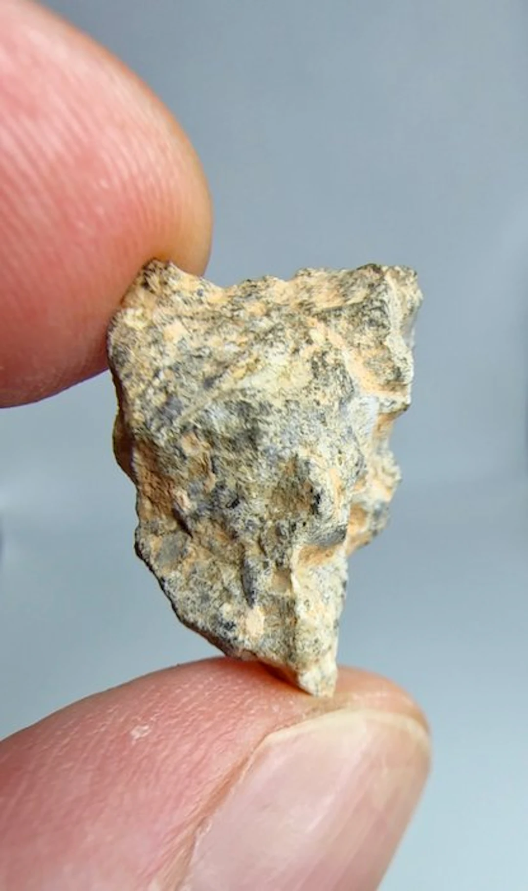 Lunar meteorite Bechar 006. Feldspathic breccia. - 2.51 g