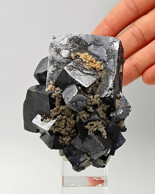 Huge twin galena with calcite