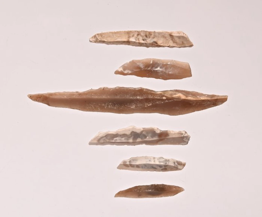Lot with 6 points from the Capsian. flint Arrow head