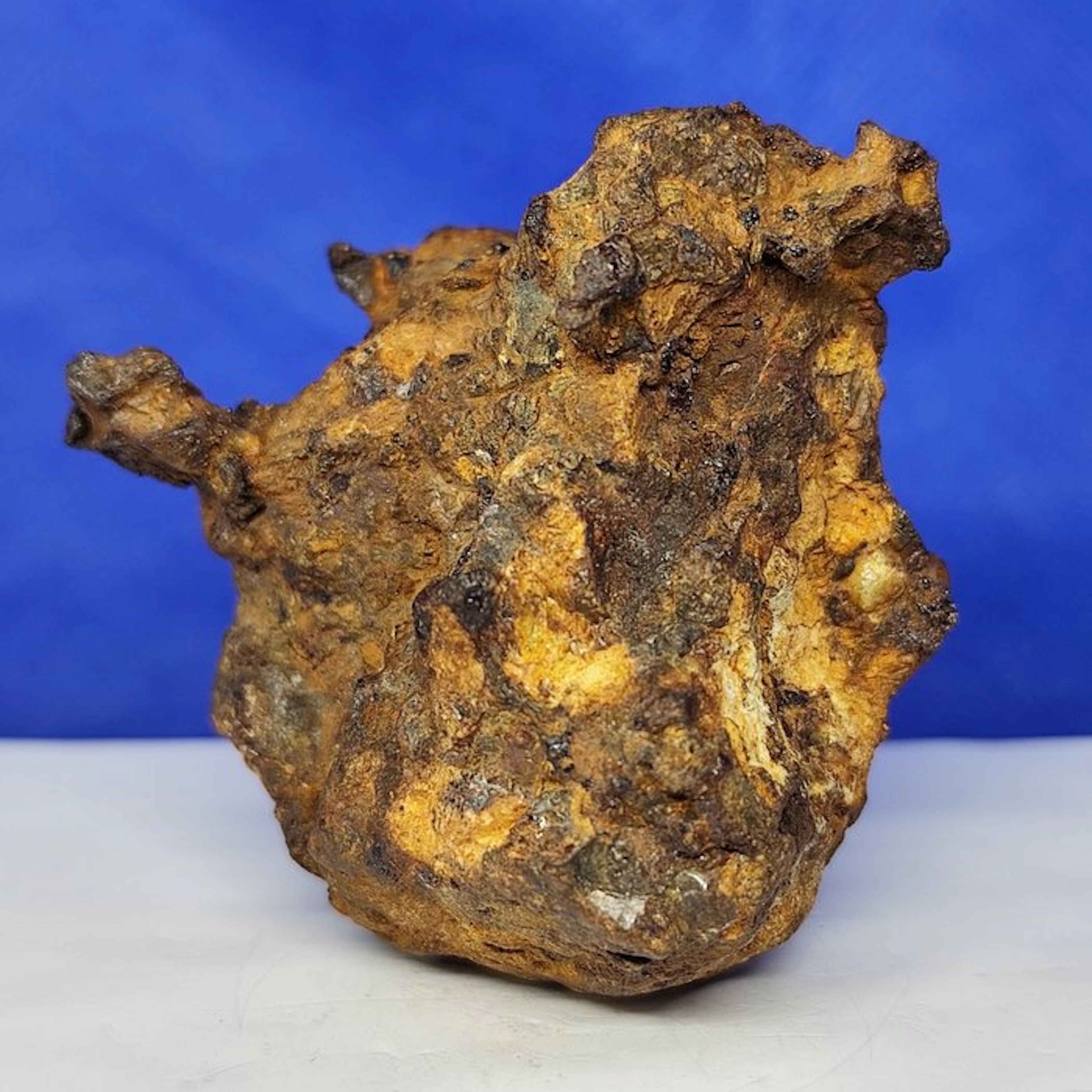 PALLASITE Meteorite