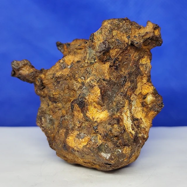 PALLASITE Meteorite