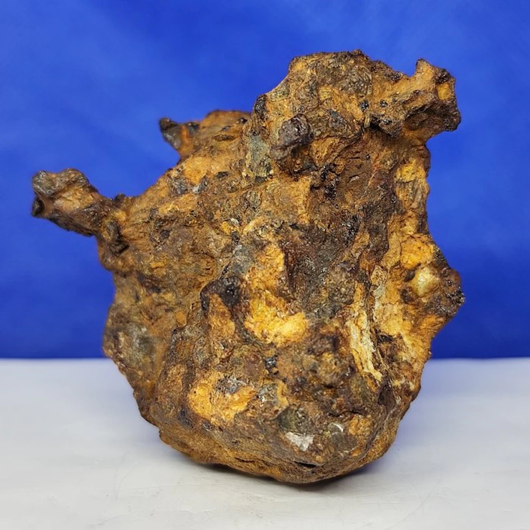 PALLASITE Meteorite