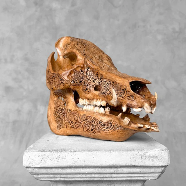 NO RESERVE PRICE -Stunning Hand-Carved Wild Boar Skull...