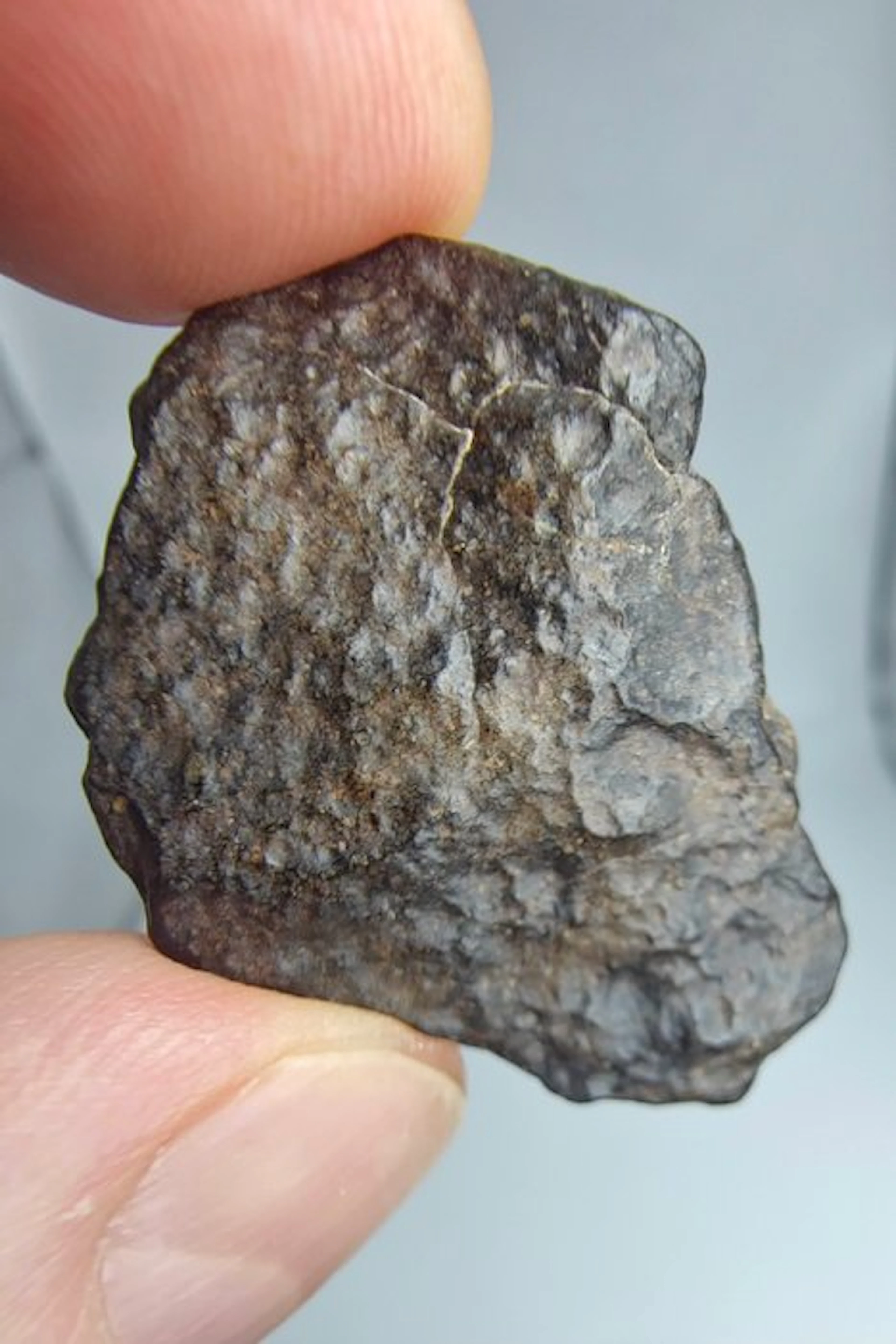 Carbonaceous meteorite CO3, NWA 16415. Do not reserve price. - 7.65 g - (1)