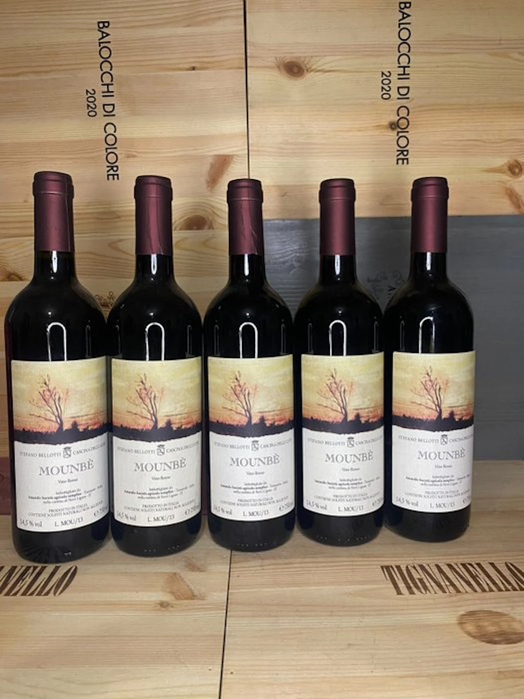 2013 Cascina degli Ulivi, Mounbè - Piedmont - 5 Bottles (0.75L)