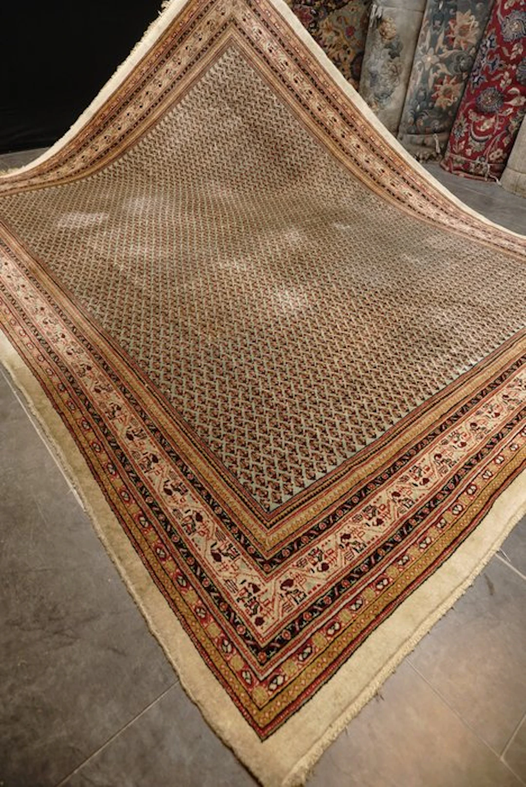 Sarough Mir - Carpet - 320 cm - 250 cm
