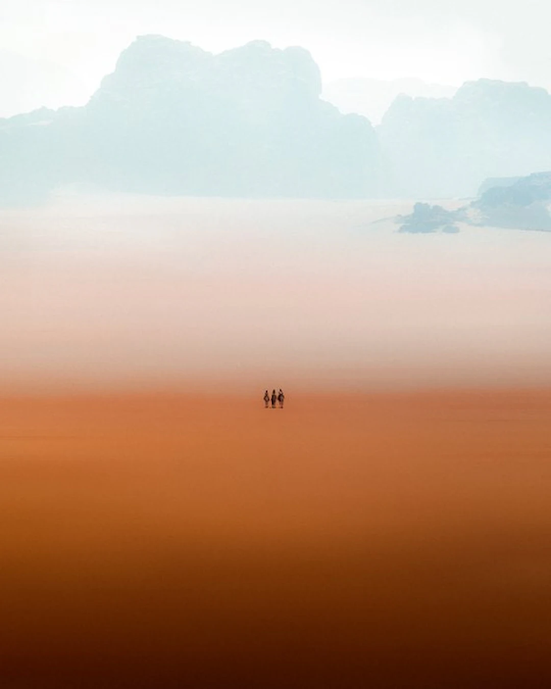 Sara Zanini - Desert Silence