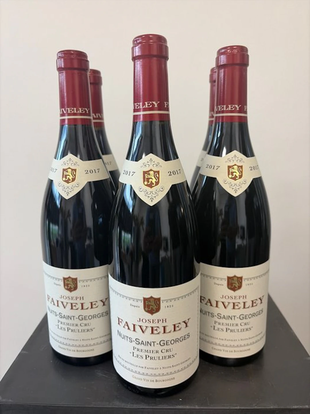 2017 Joseph Faiveley "Les Pruliers" - Nuits St