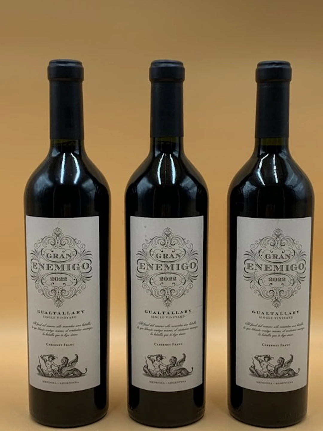2022 Gran Enemigo, Gualtallary - Tupungato - 3 Bottles (0.75L)