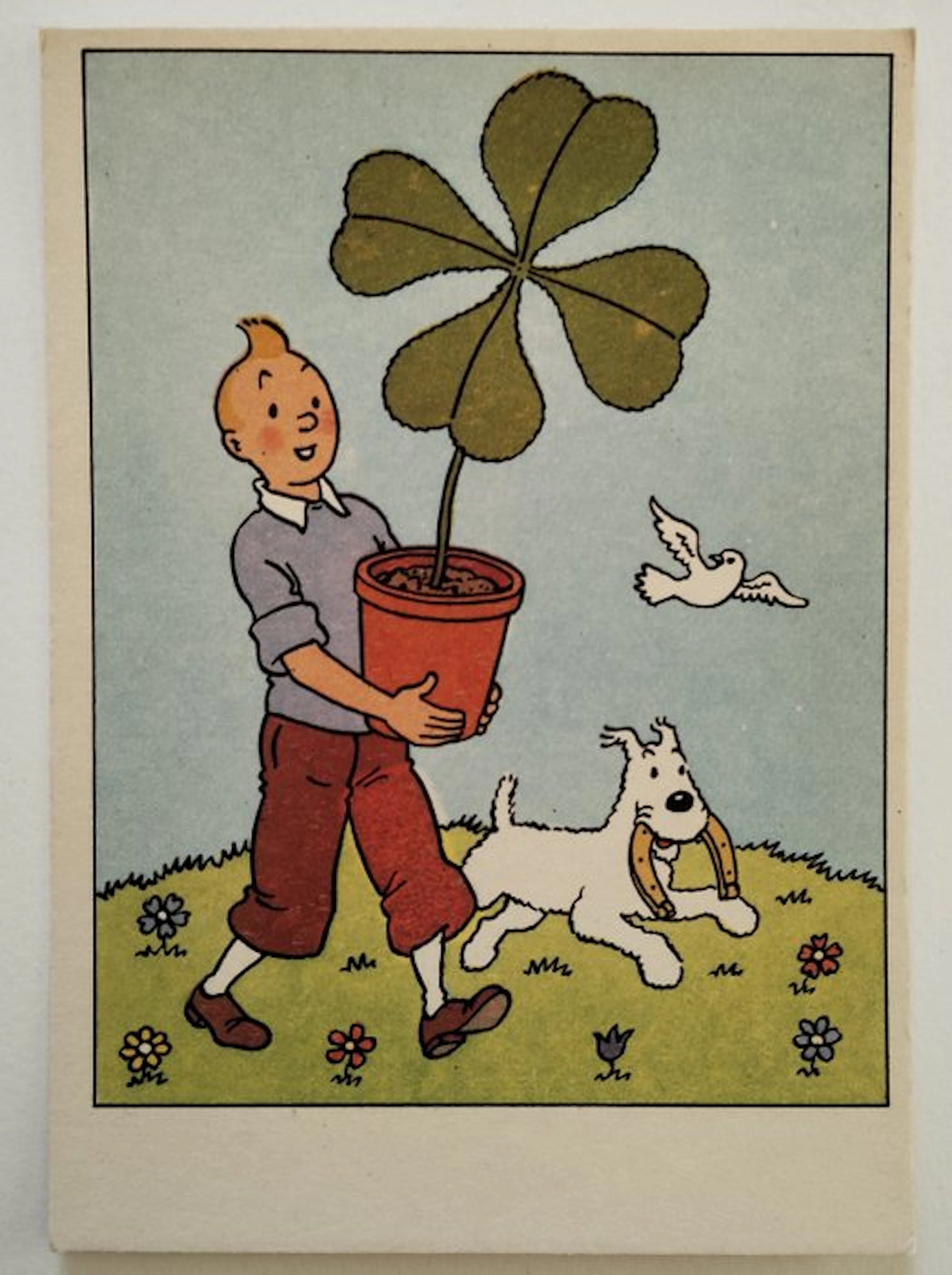 Tintin - Carte festive numéro 7 - Tintin porte un trèfle...