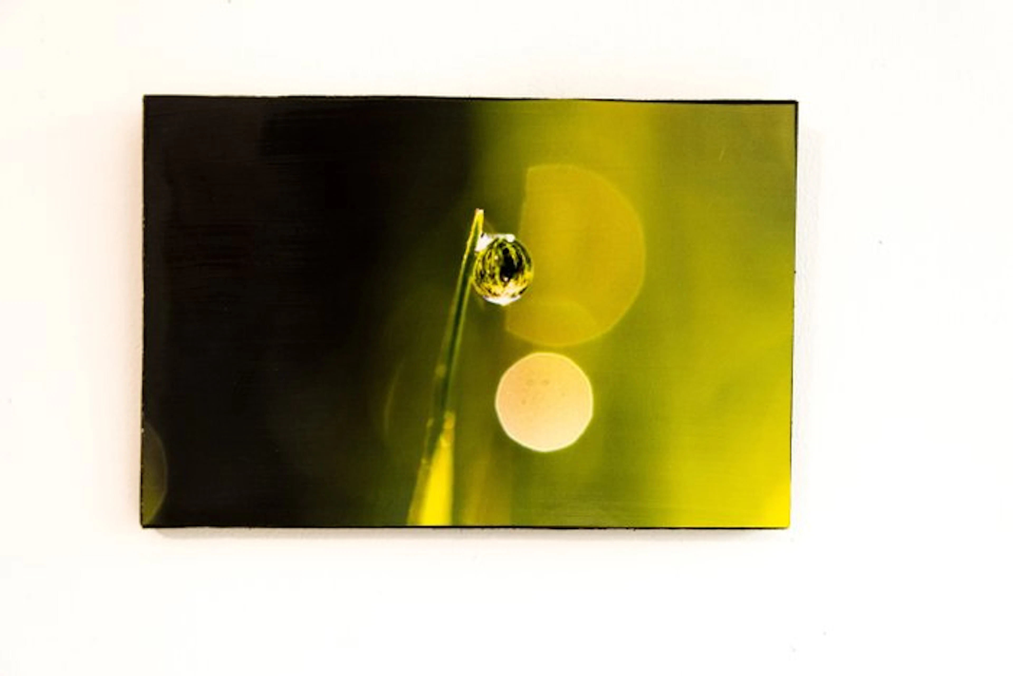 Isabella Tahmassian - Pure drop - No reserve price