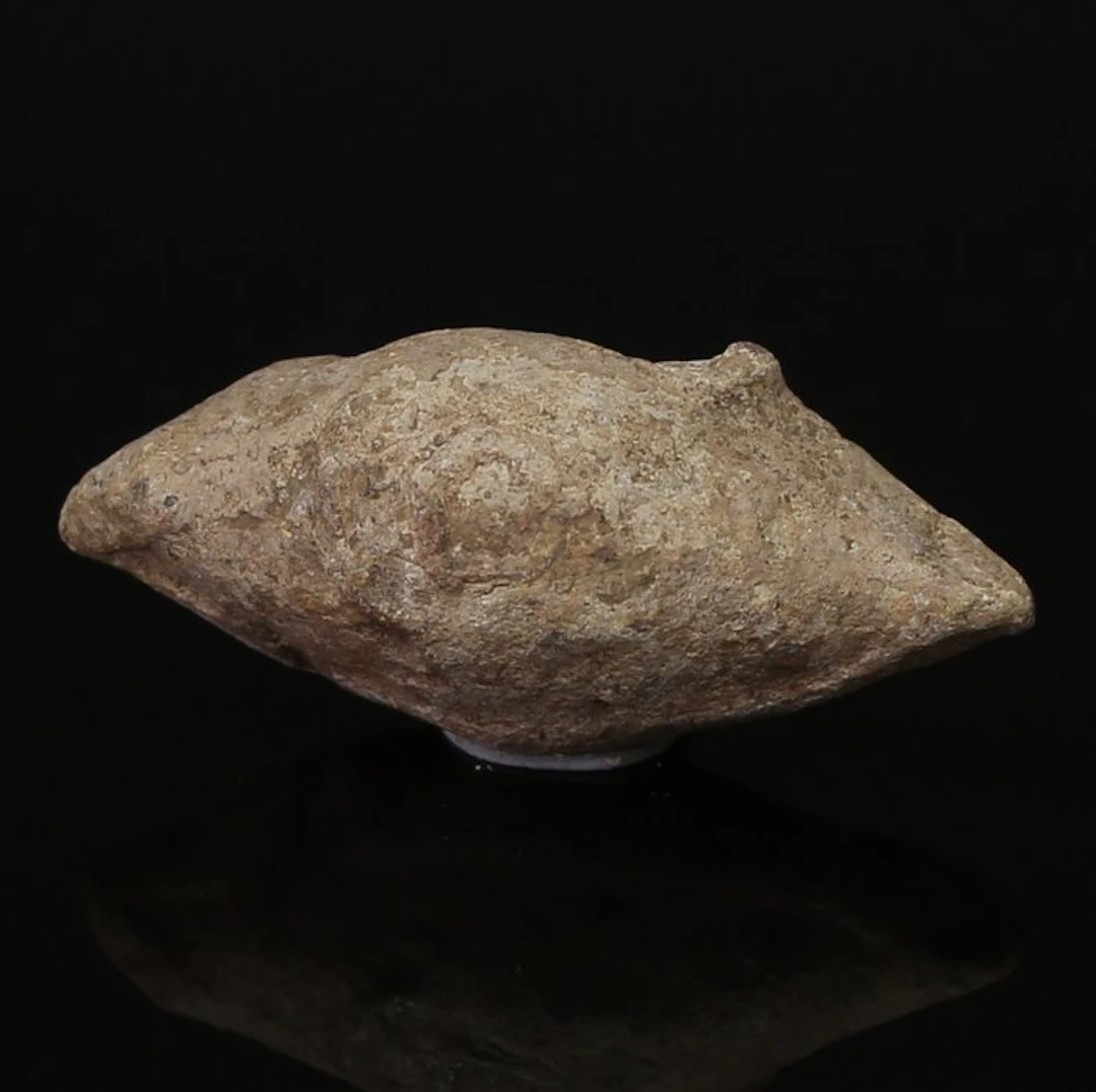 Ancient Roman Lead Sling bullet with inscription 'COS / blank [L PISO L F]'