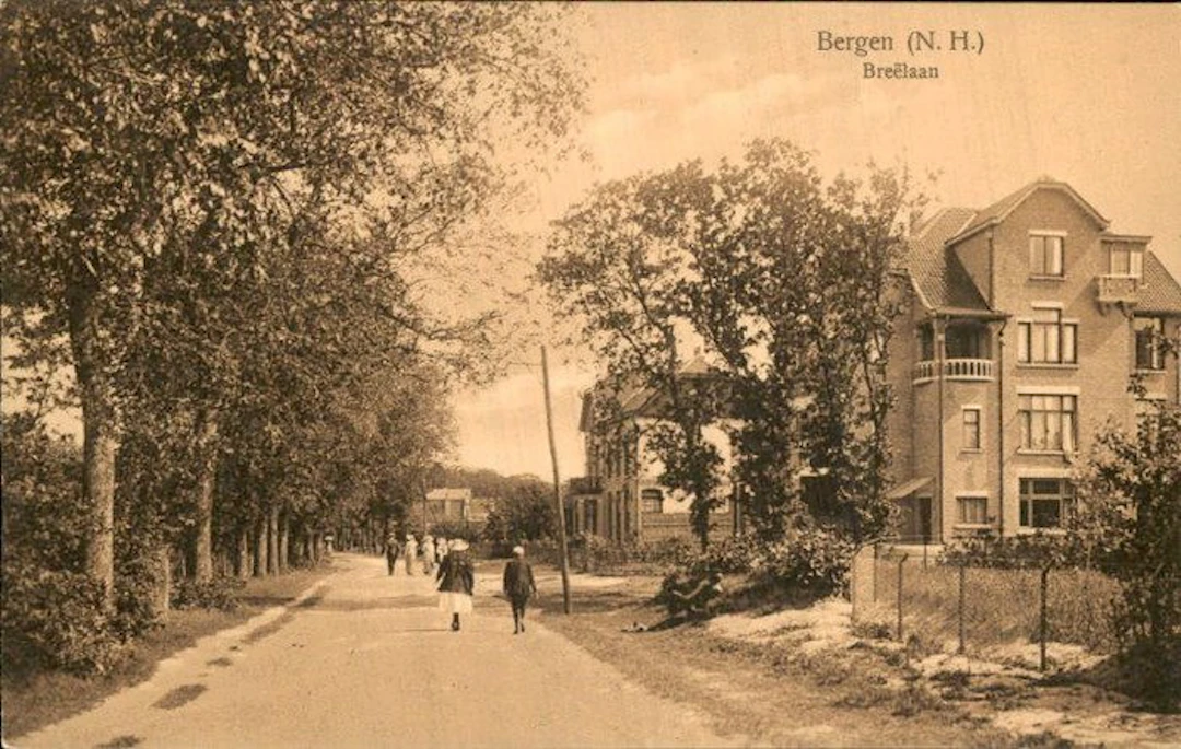 Netherlands - Bergen (town in North Holland) - Postcard (141) - 1900-1999
