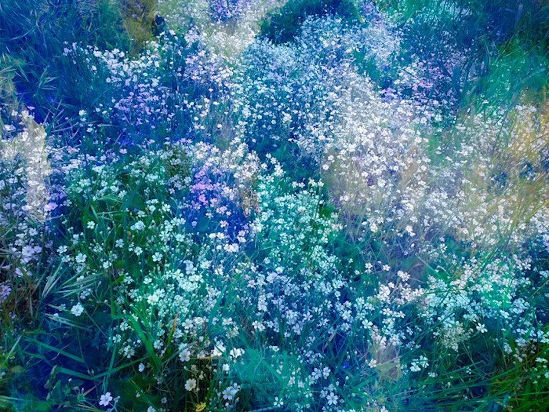 Viet Ha Tran - In search for a perfect day
