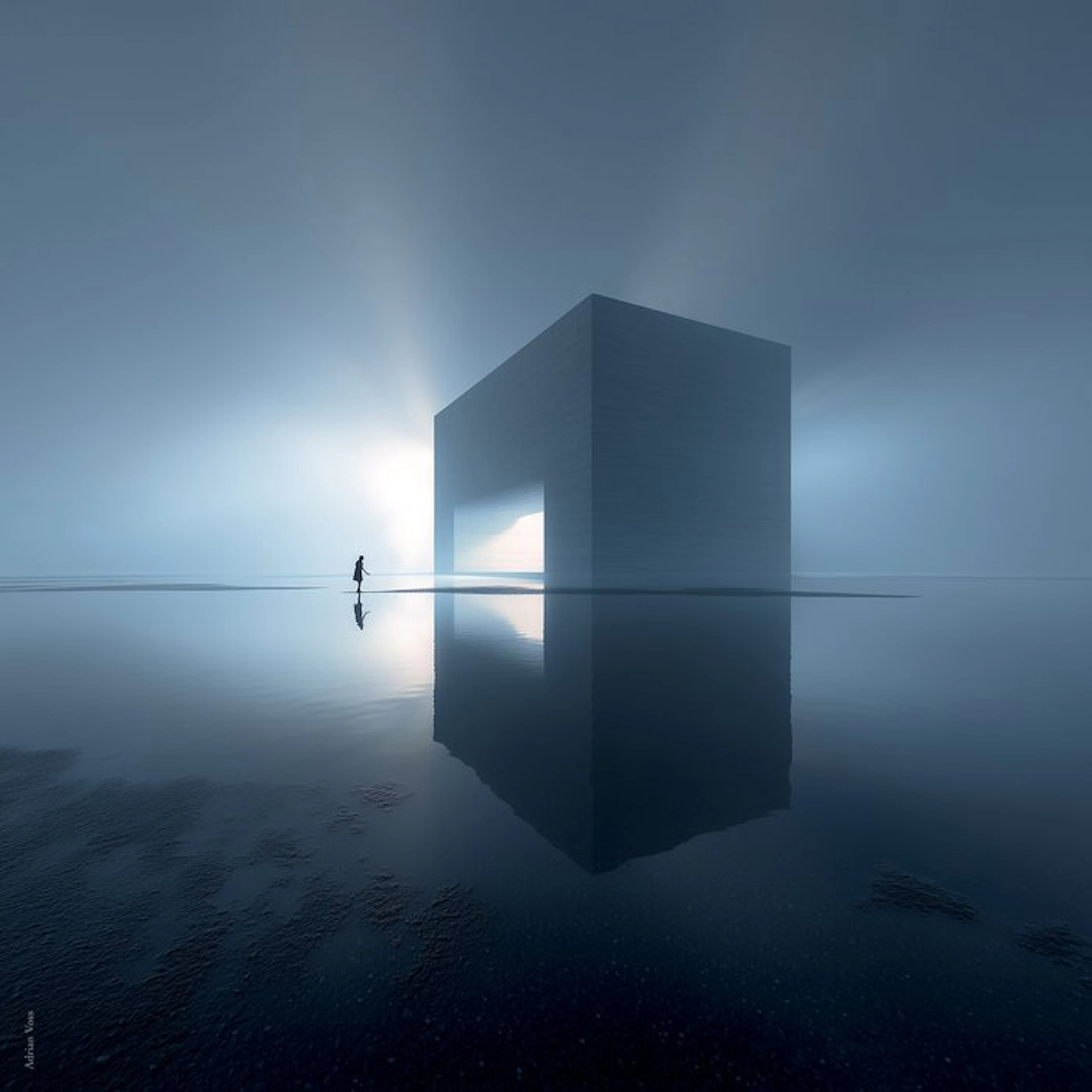 David Law - Monumental Silence X