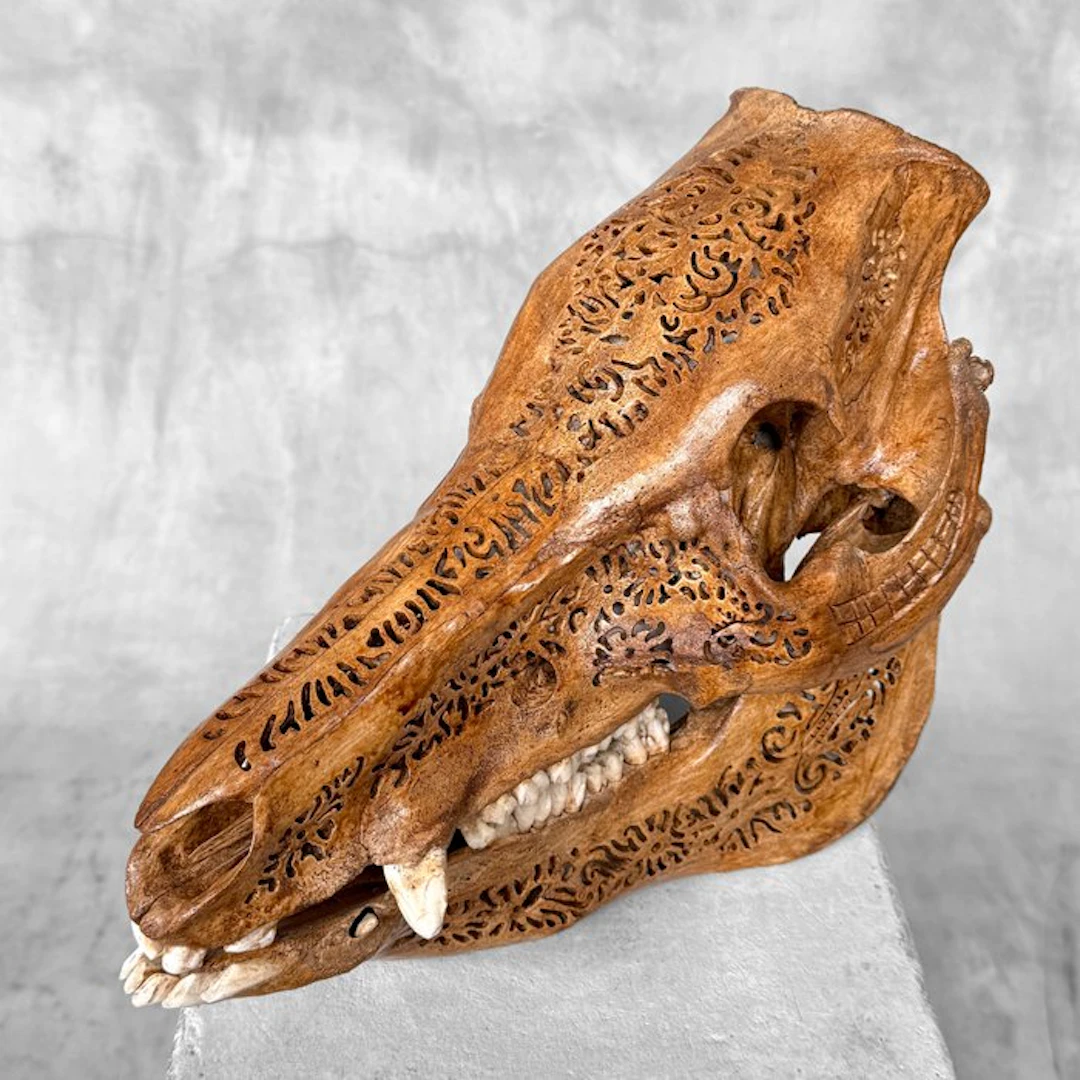 NO RESERVE PRICE -Stunning Hand-Carved Wild Boar Skull...