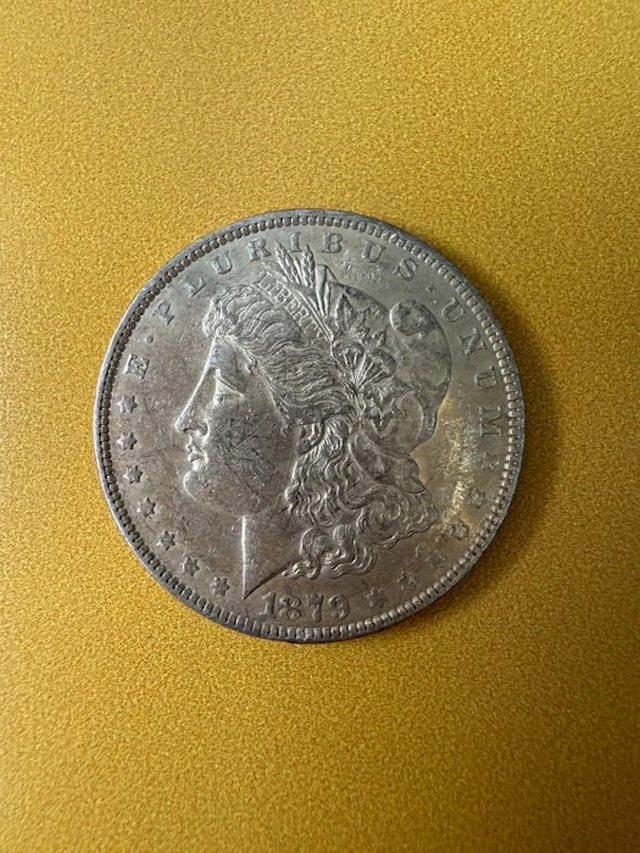 United States. Morgan Dolllar 1879 (No reserve price)
