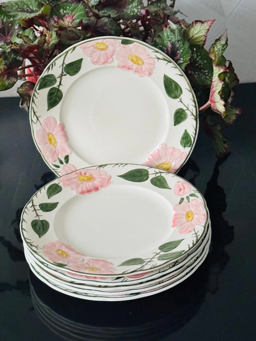 Villeroy & Boch - Dish (6) - wild-Rose - Porcelain
