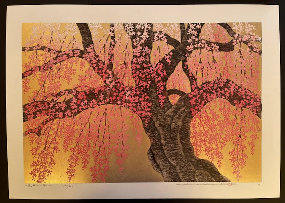 Weeping Cherry 15 - Hajime Namiki 並木一 (b 1947) - Japan