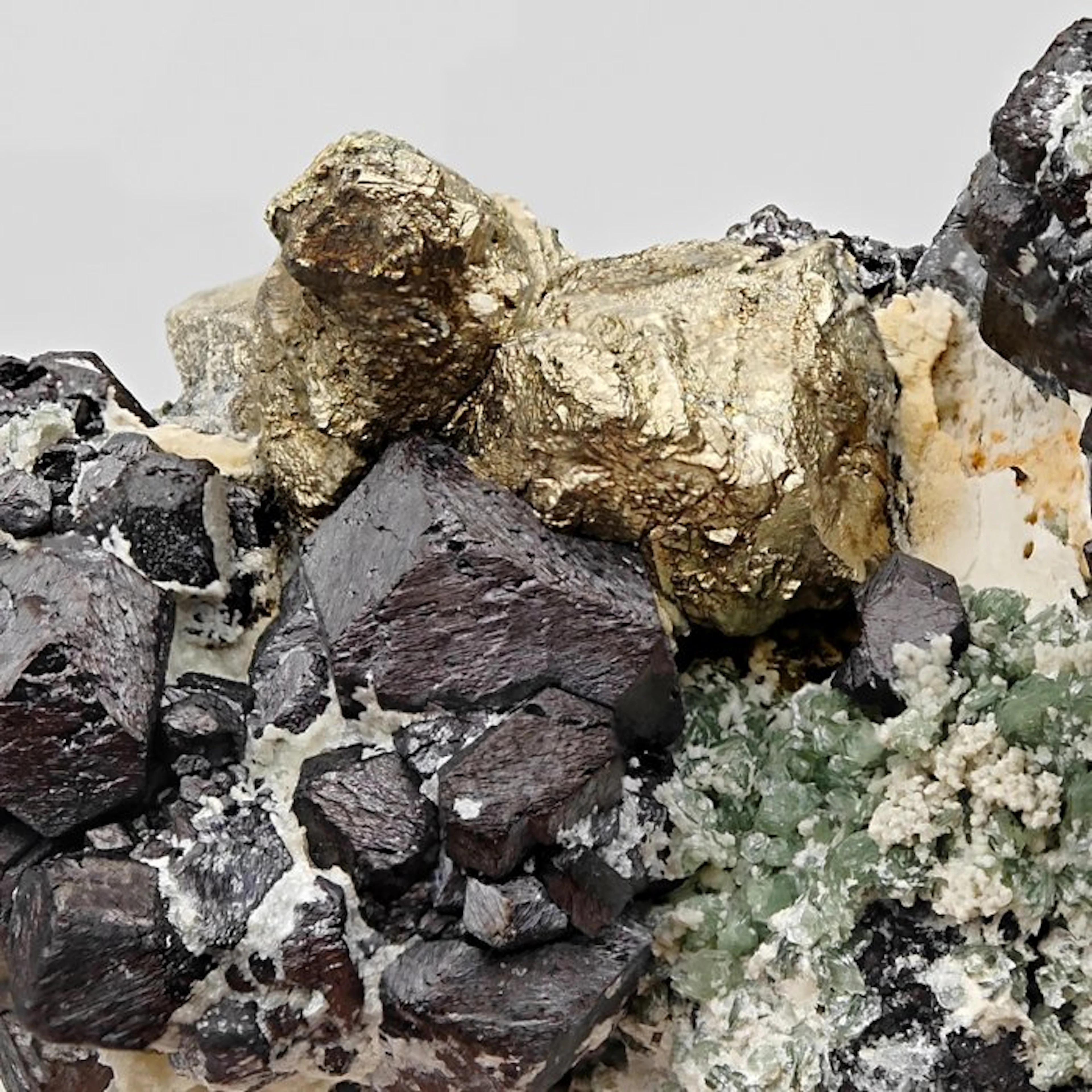 ALPINO, black magnetite with golden pyrite and green talc