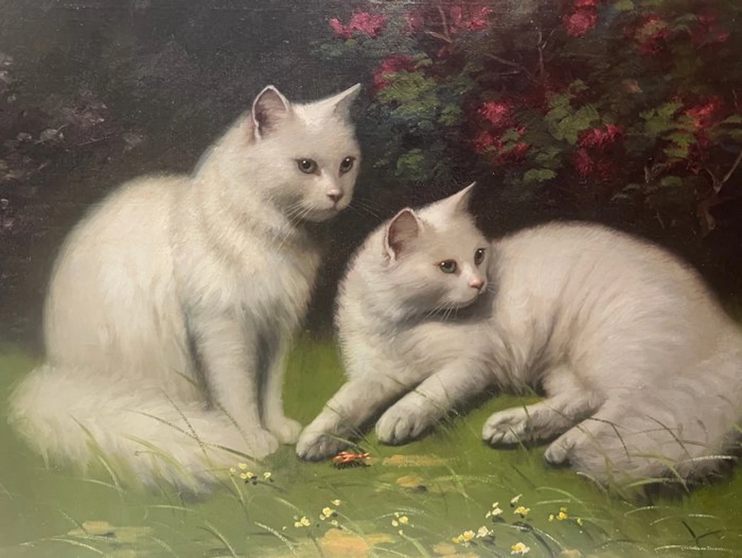 Boleradszky Beno (1885-1953) - Gatti bianchi