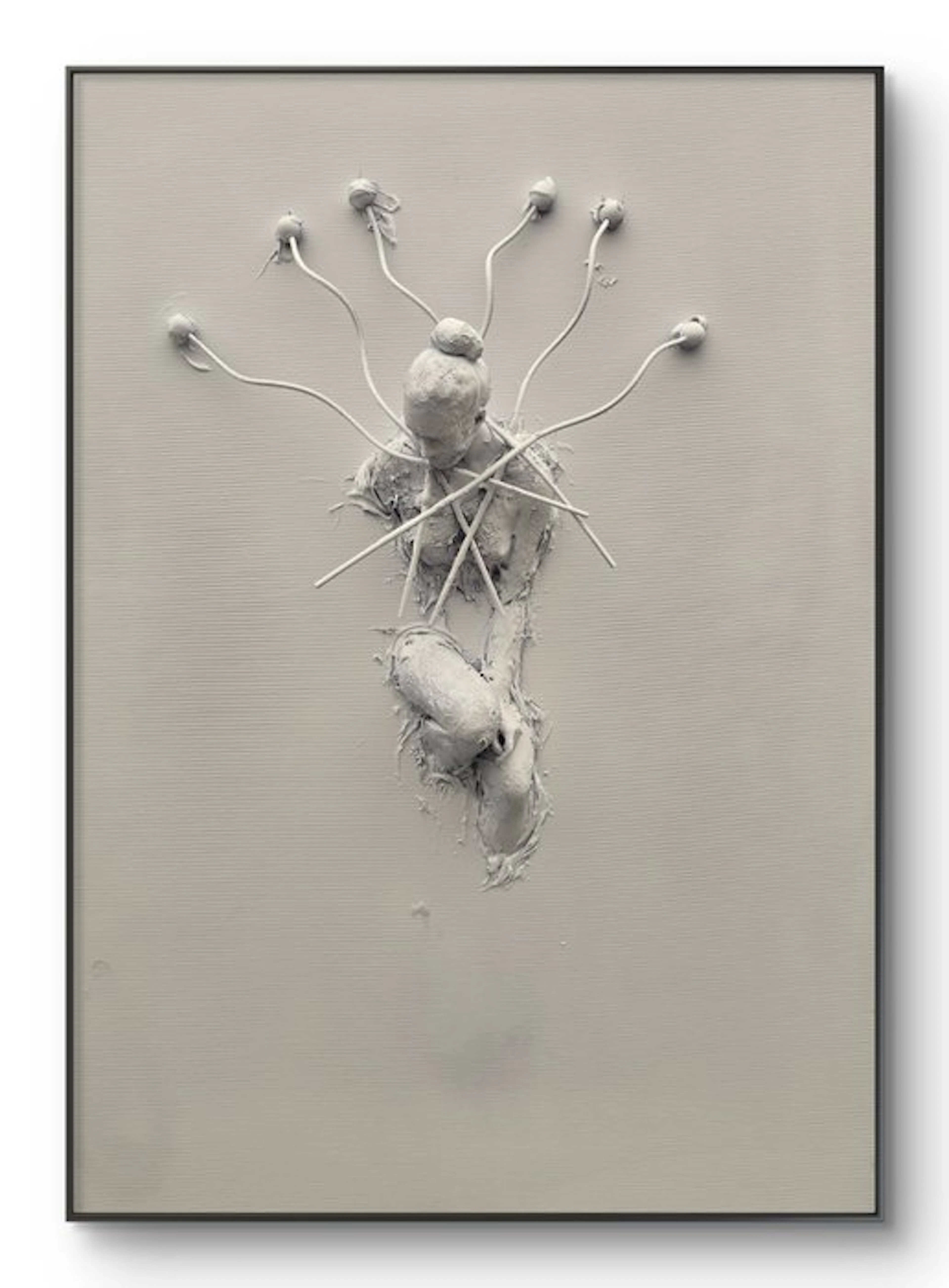 Nicole Lubbers - Metamorphosis
