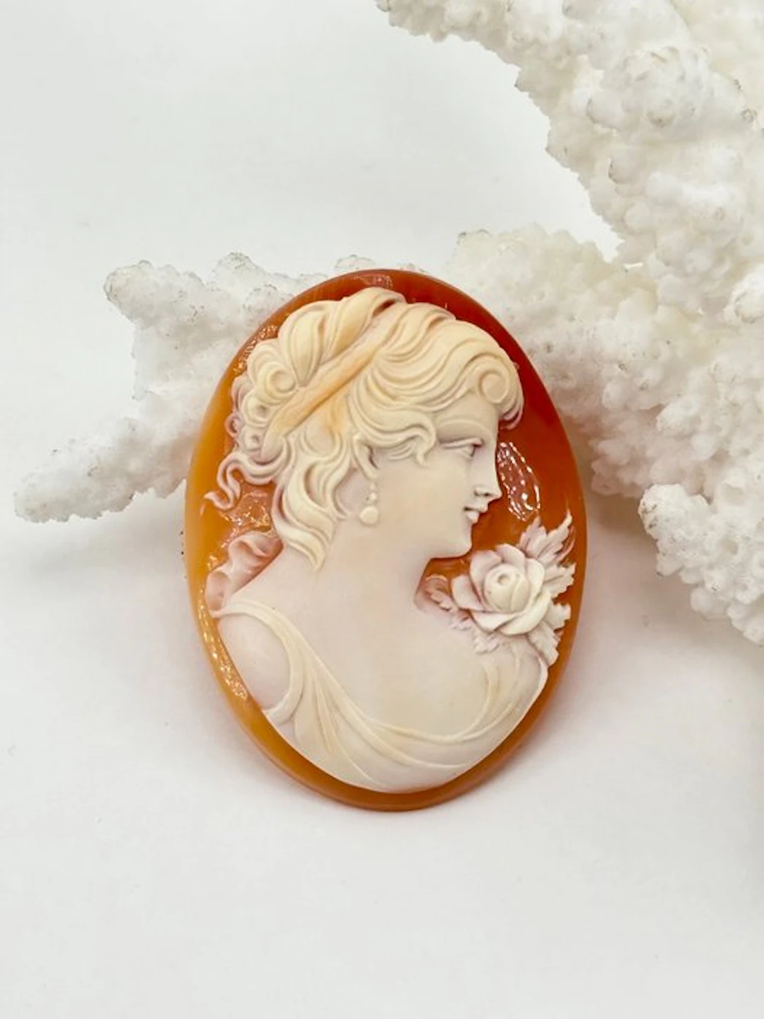 No reserve price CASSIS RUFA - Cameo - Hand-carved cameo