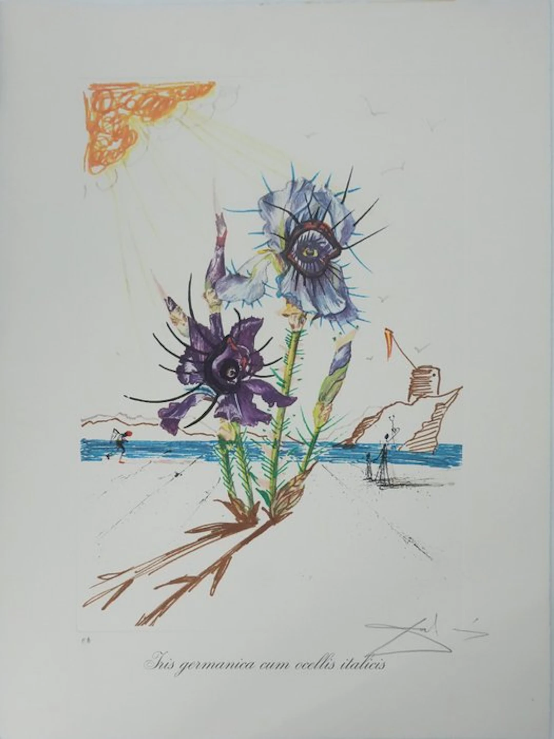 Salvador Dali (1904-1989) - Iris Germanica : Iris floral de la jeunesse de Dali