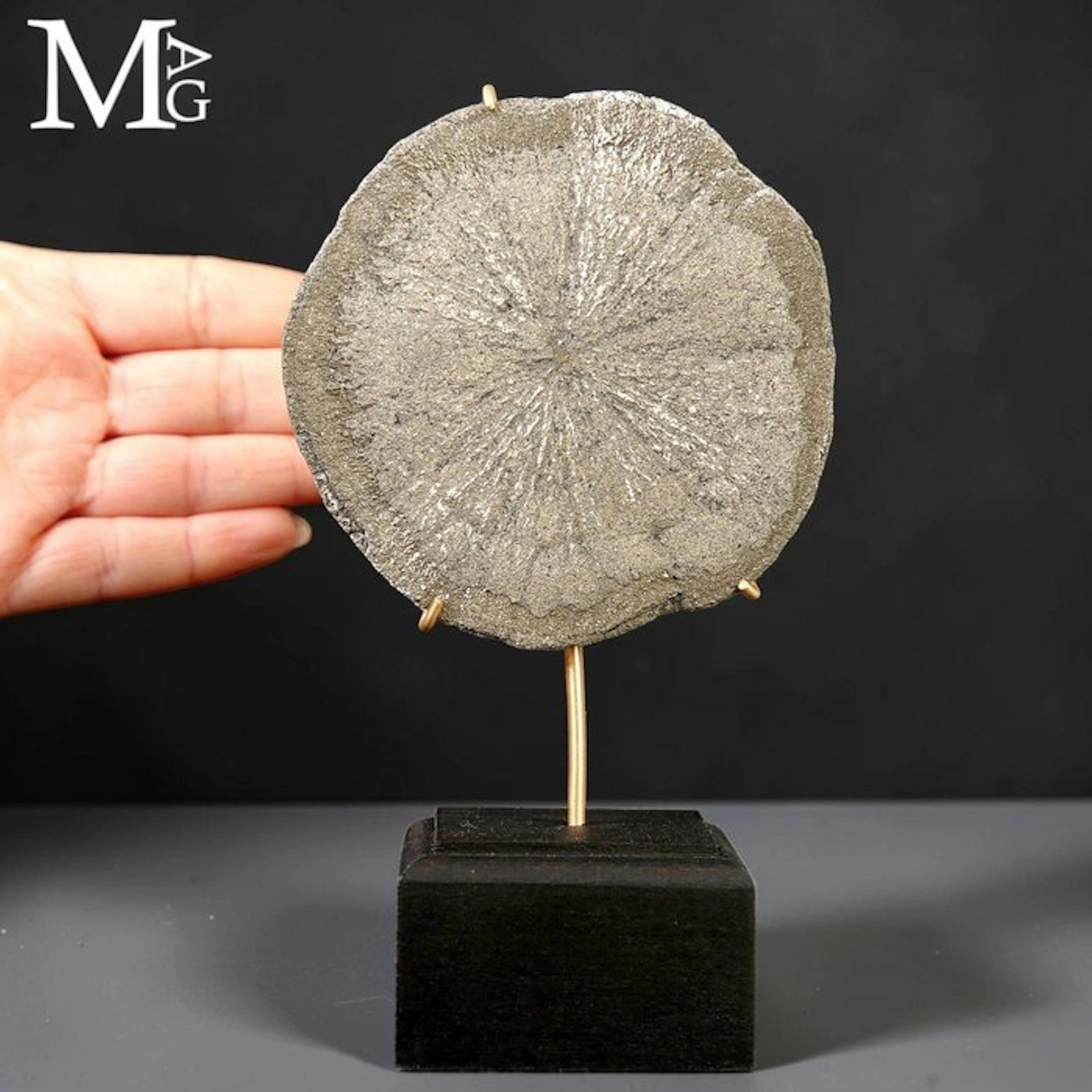 Natural Rare Pyrite Formation Pirite Sun - Pyrite Dollar...