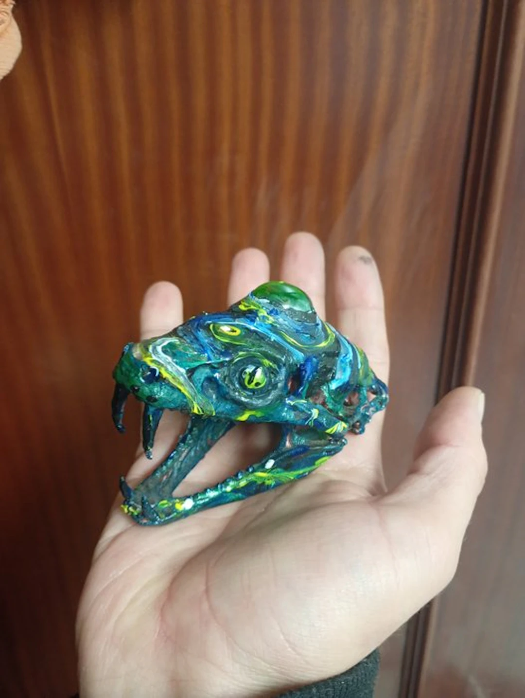 Python Skull - Python regius - 6 cm - 5 cm - 8 cm - (1)