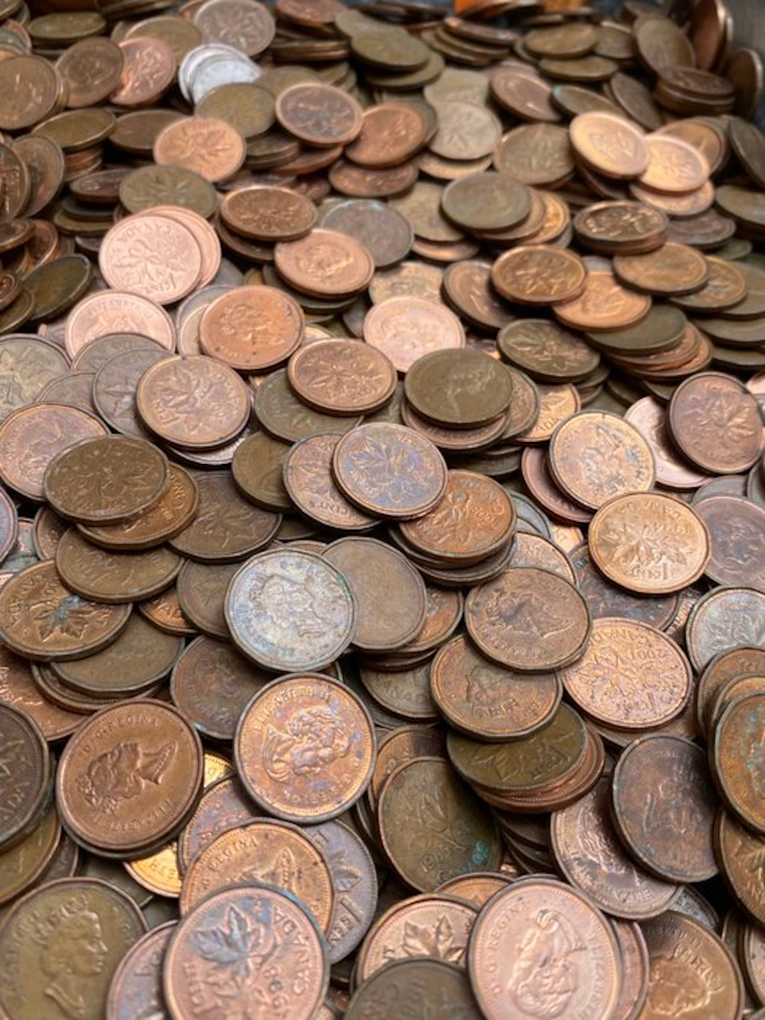 Canada. 1 Cent Lot de 1,5 Kg - Penny Élisabeth II (No reserve price)