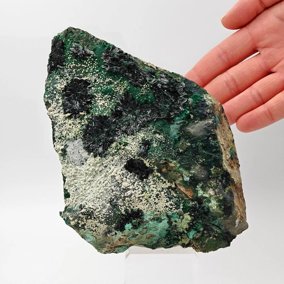 Rays of ATACAMITE with HALLOYSITE and PSEUDOMALACHITE