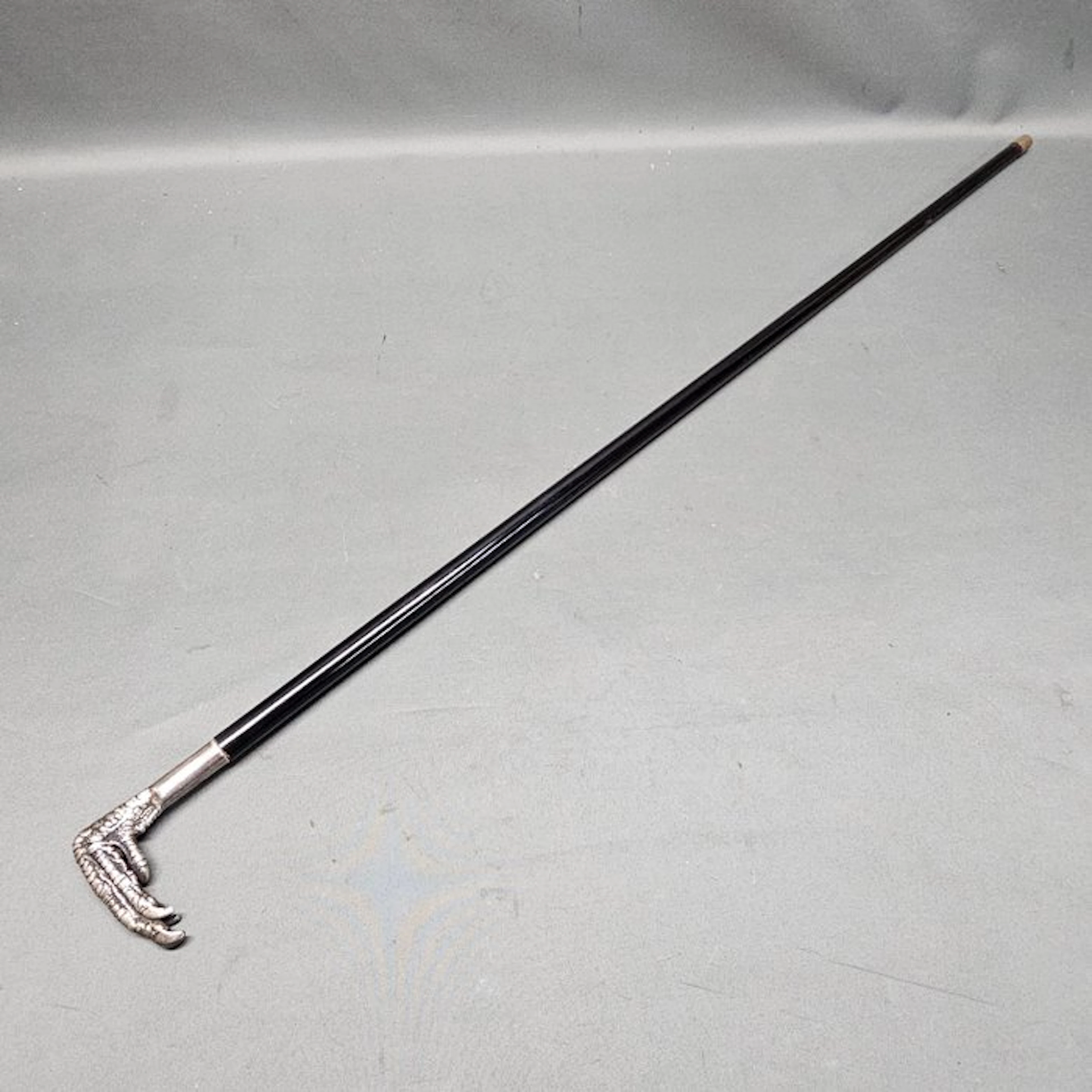 Walking stick - Metal, Wood - Old Memento Mori Stock