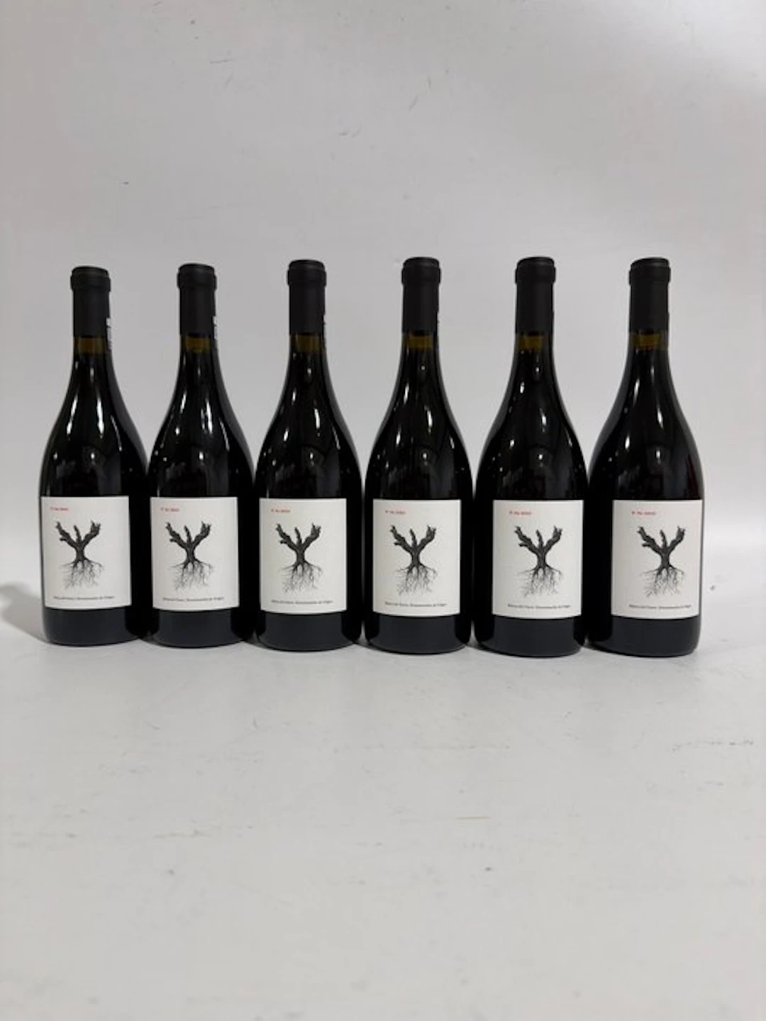 2023 Dominio de Pingus, PSI - Ribera del Duero - 6 Bottles (0.75L)