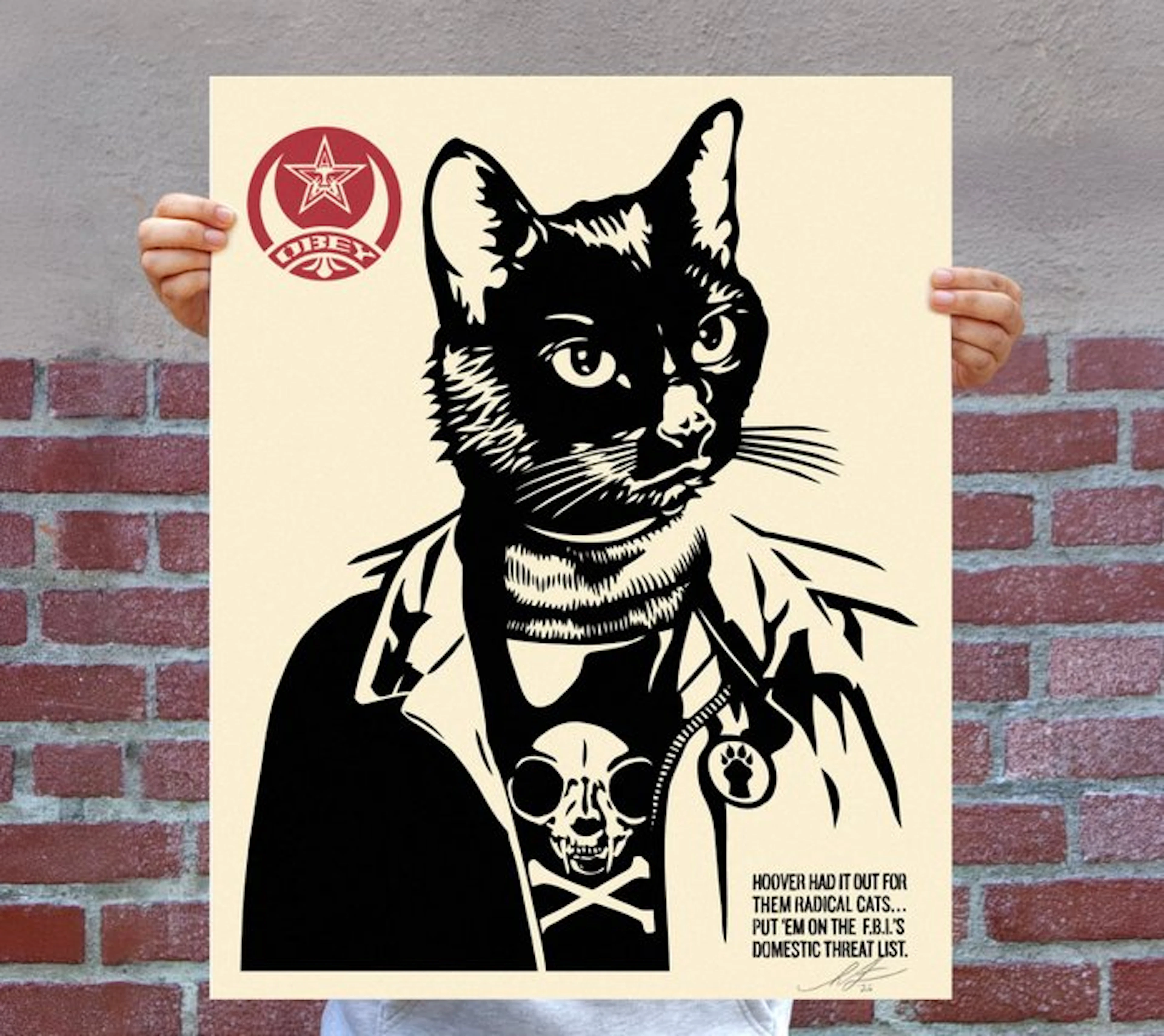 Shepard Fairey (OBEY) (1970) - RADICAL CAT