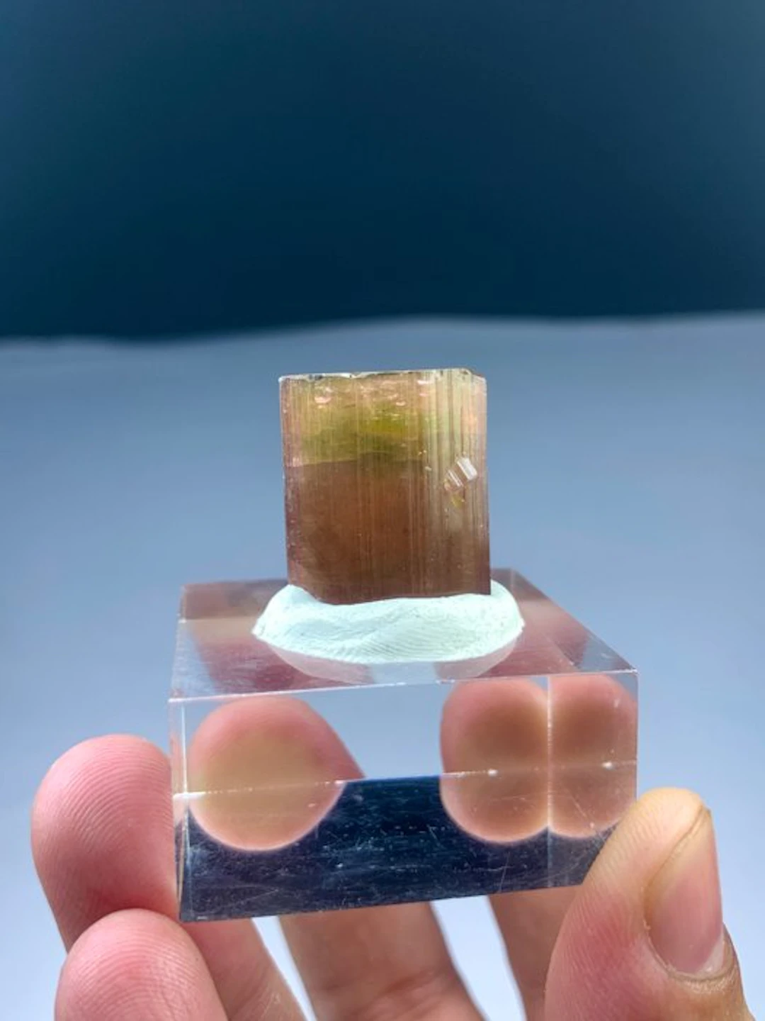 Bicolour tourmaline Crystal - Height: 22 mm - Width: 19 mm- 20 g - (1)