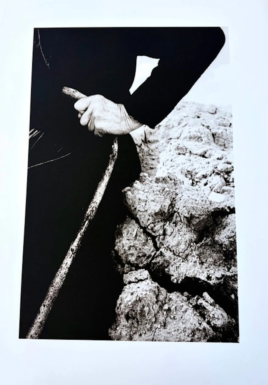 Julio Álvarez Yagüe - “Origen”