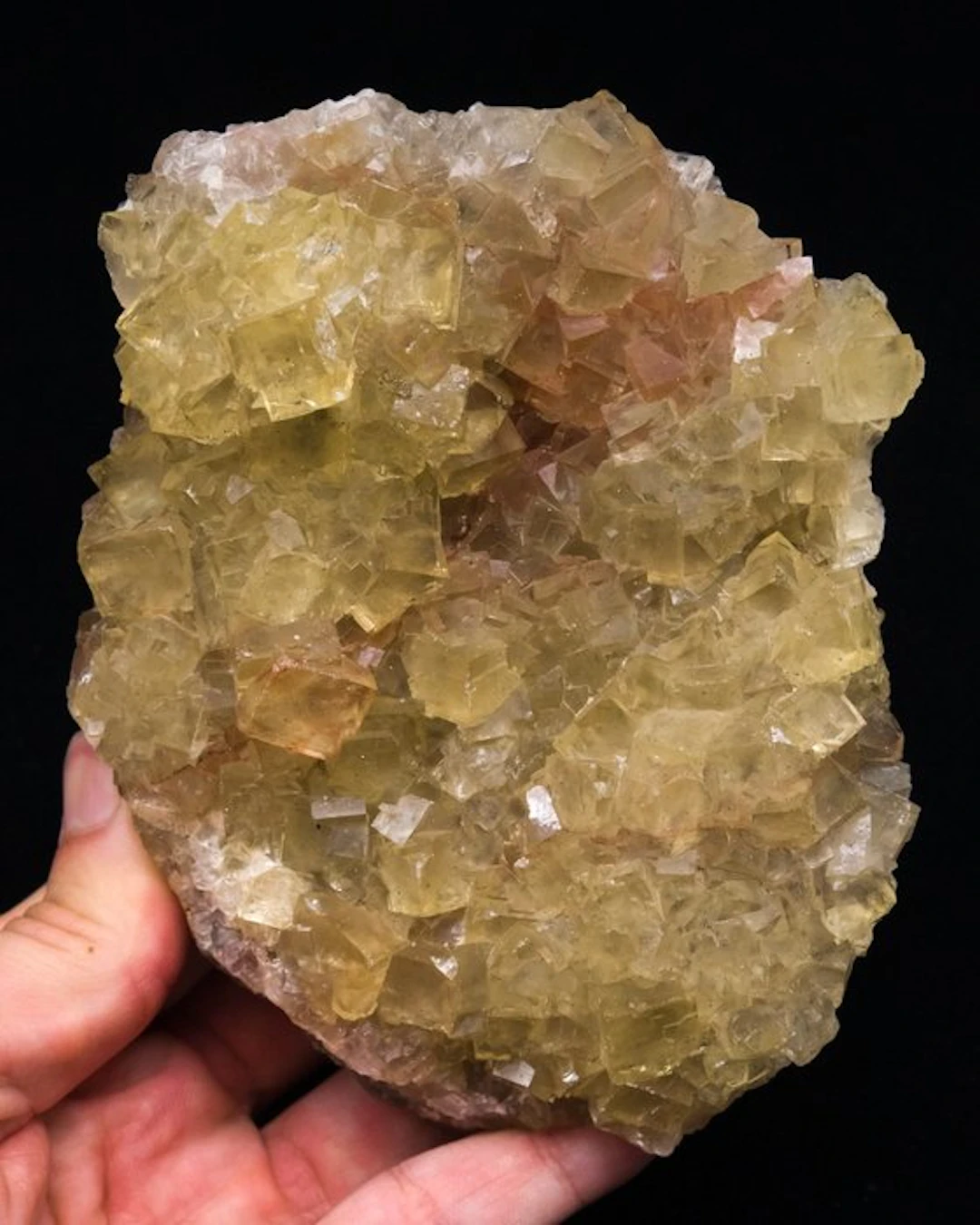 LARGE GEM FLUORITE plate - Height: 11.8 cm - Width: 9.3 cm- 420 g - (1)