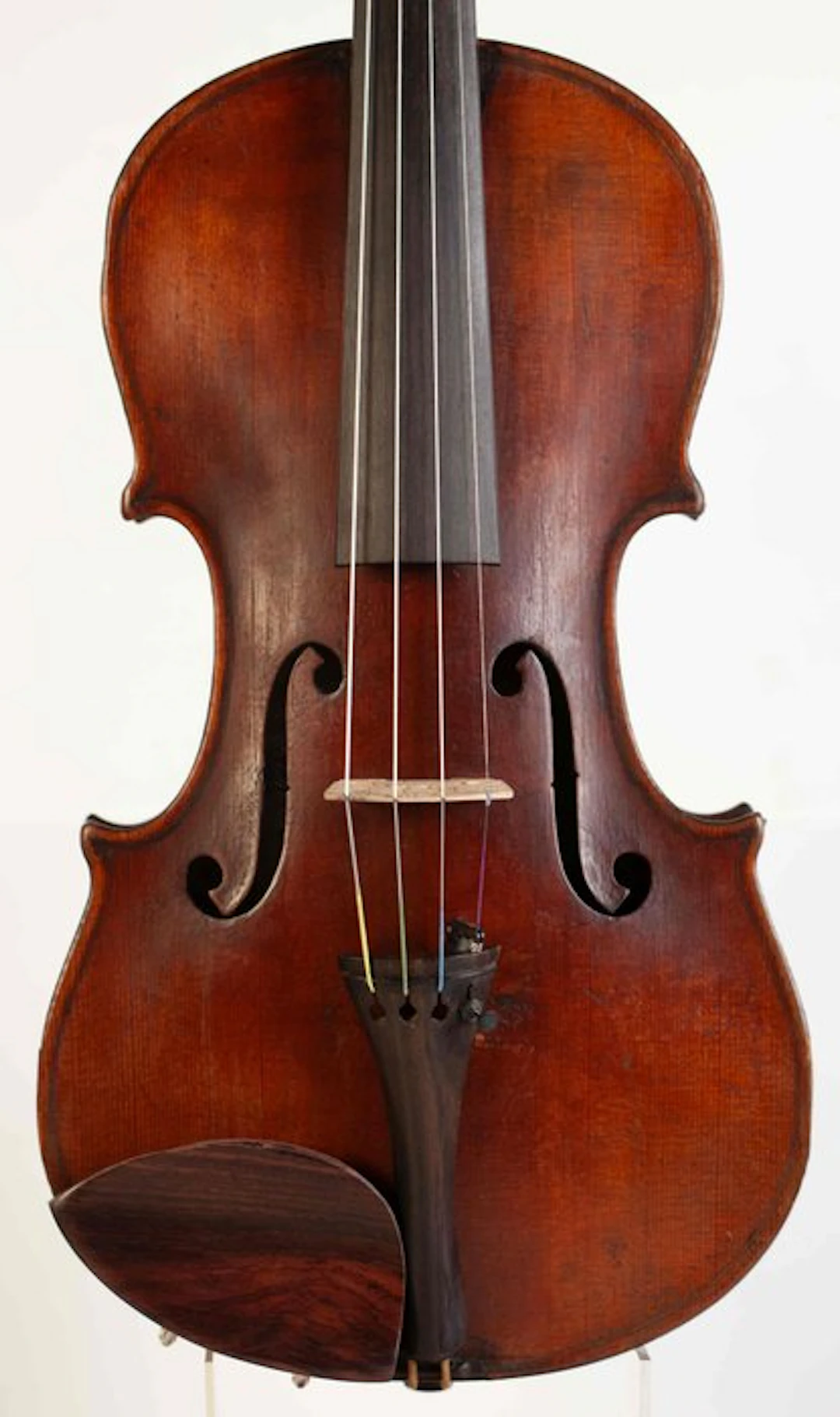 Labelled Montagnana - 4/4 - - Violin - Unknown