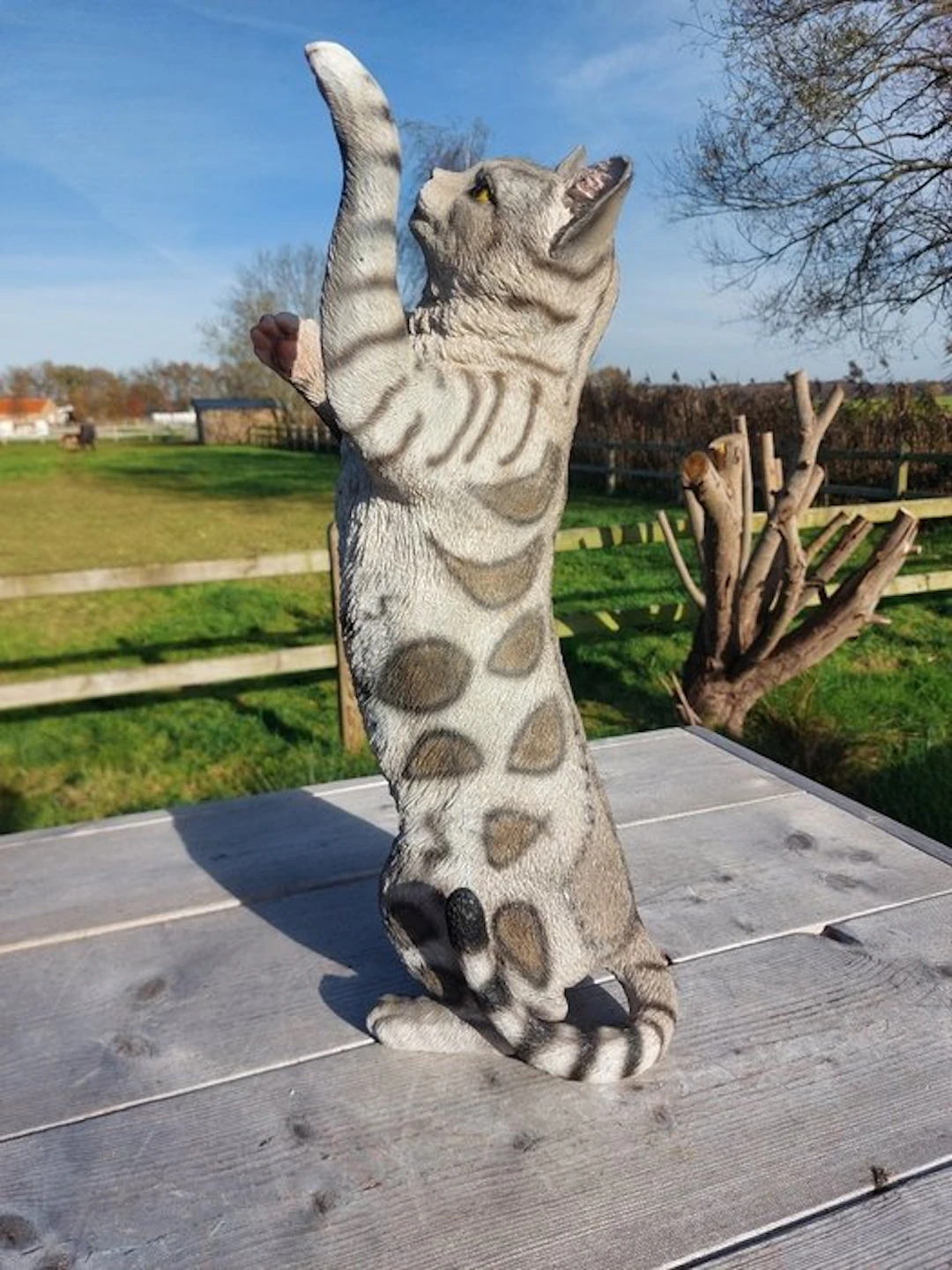 Statue, garden statue 50 cm high scratching cat - 50 cm - polyresin