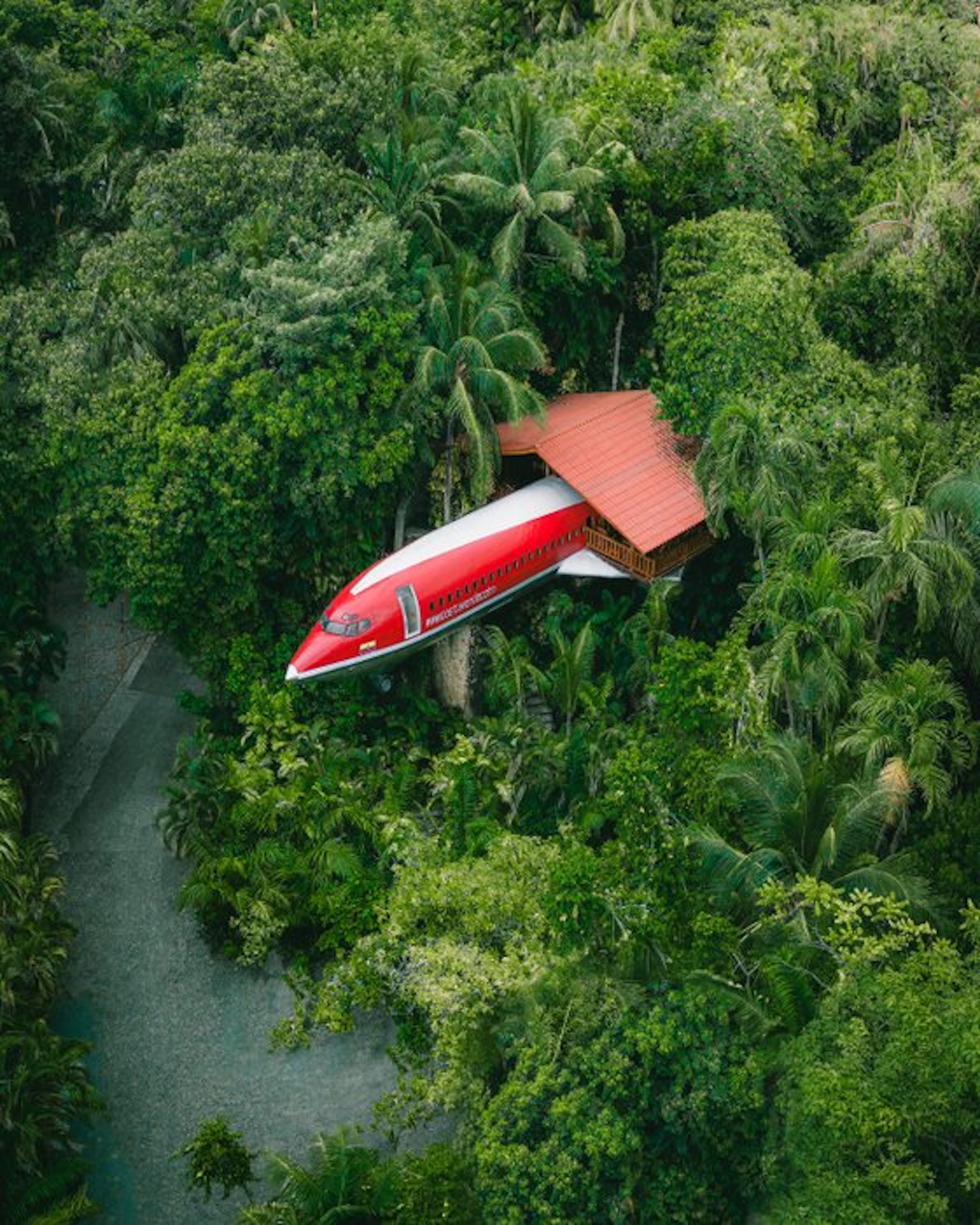 Sara Zanini - Lost flight