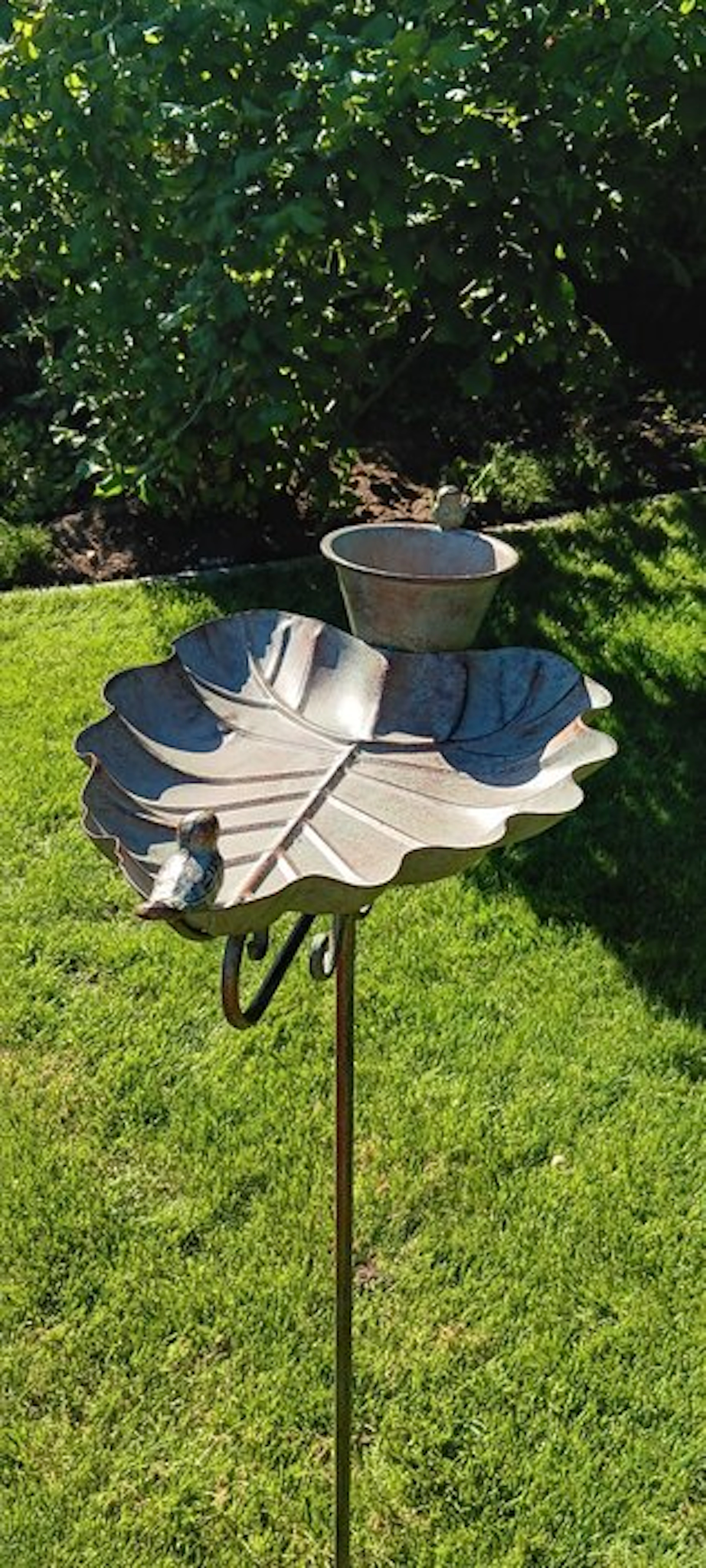 Mid-century modern Birdbath - Wrought iron - birdbath-feeder