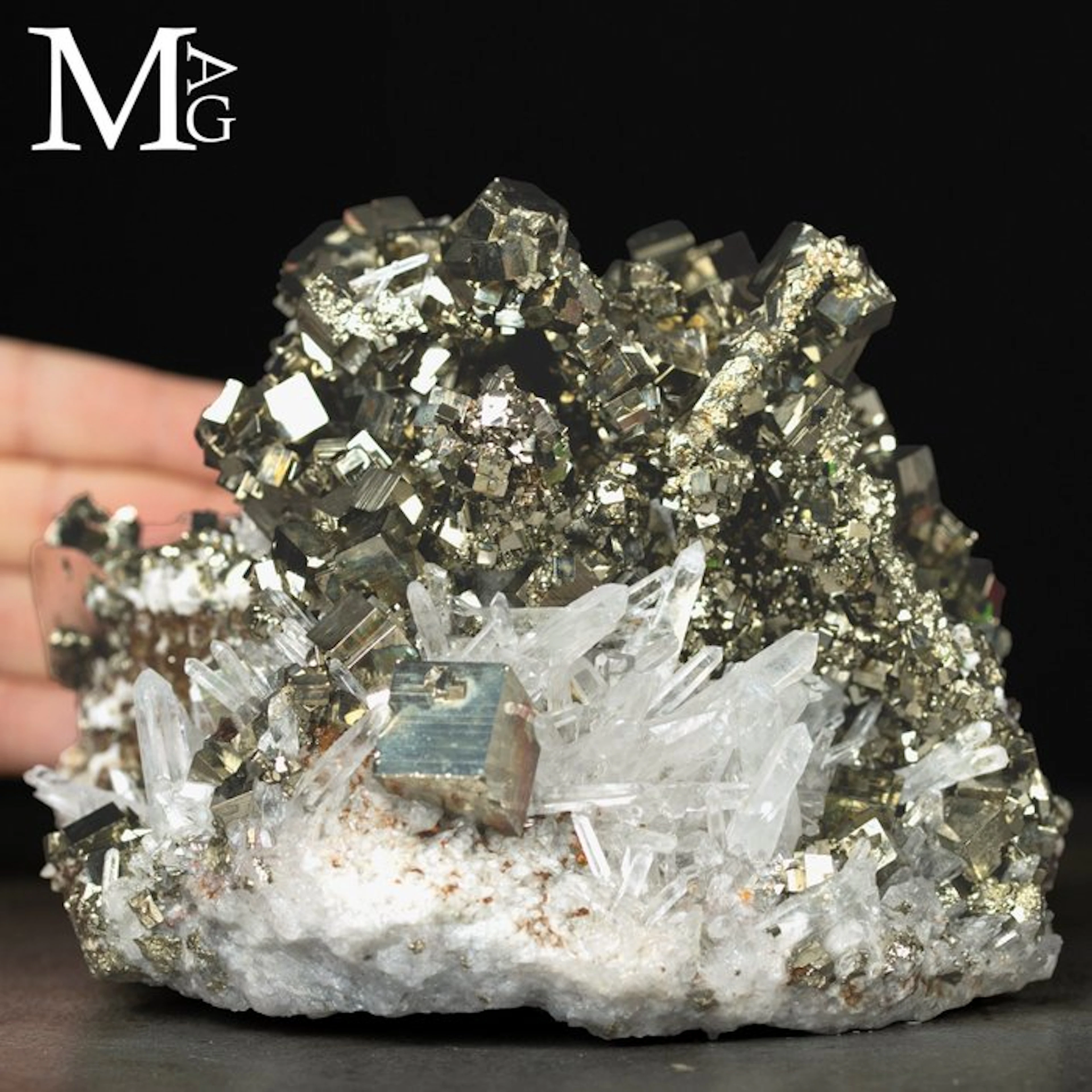 Quartz on Pyrite - Huanzala Mine Peru Quartz on Pyrite...