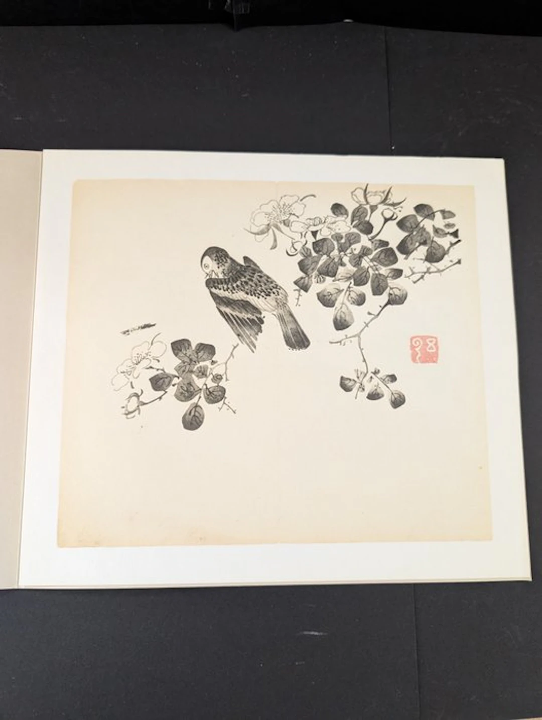 Japanese bird on a branch with flowers. - Paper - Germany - 1633