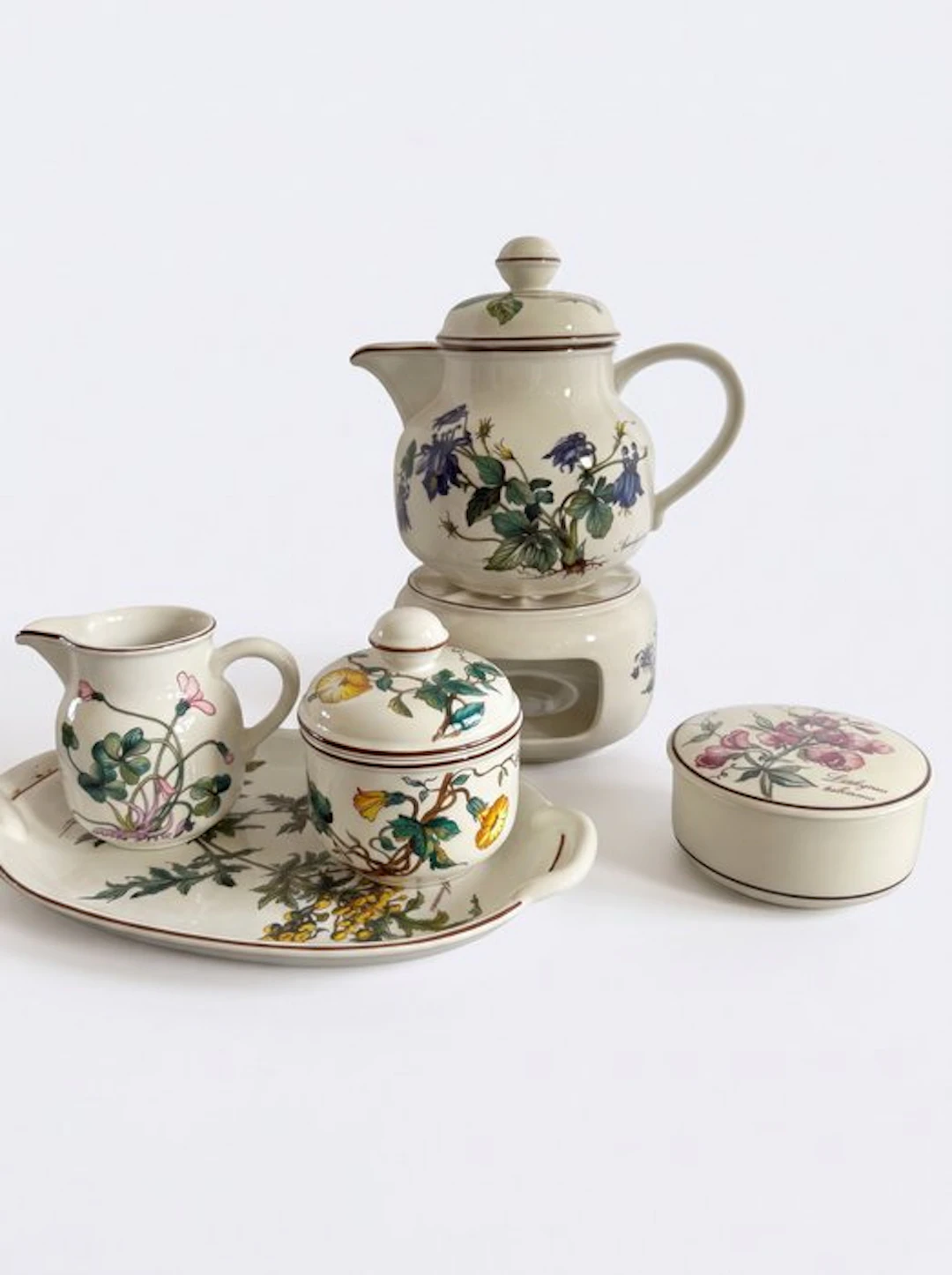 Villeroy & Boch - Teapot (6) - Botanica - Porcelain - Teapot, milk