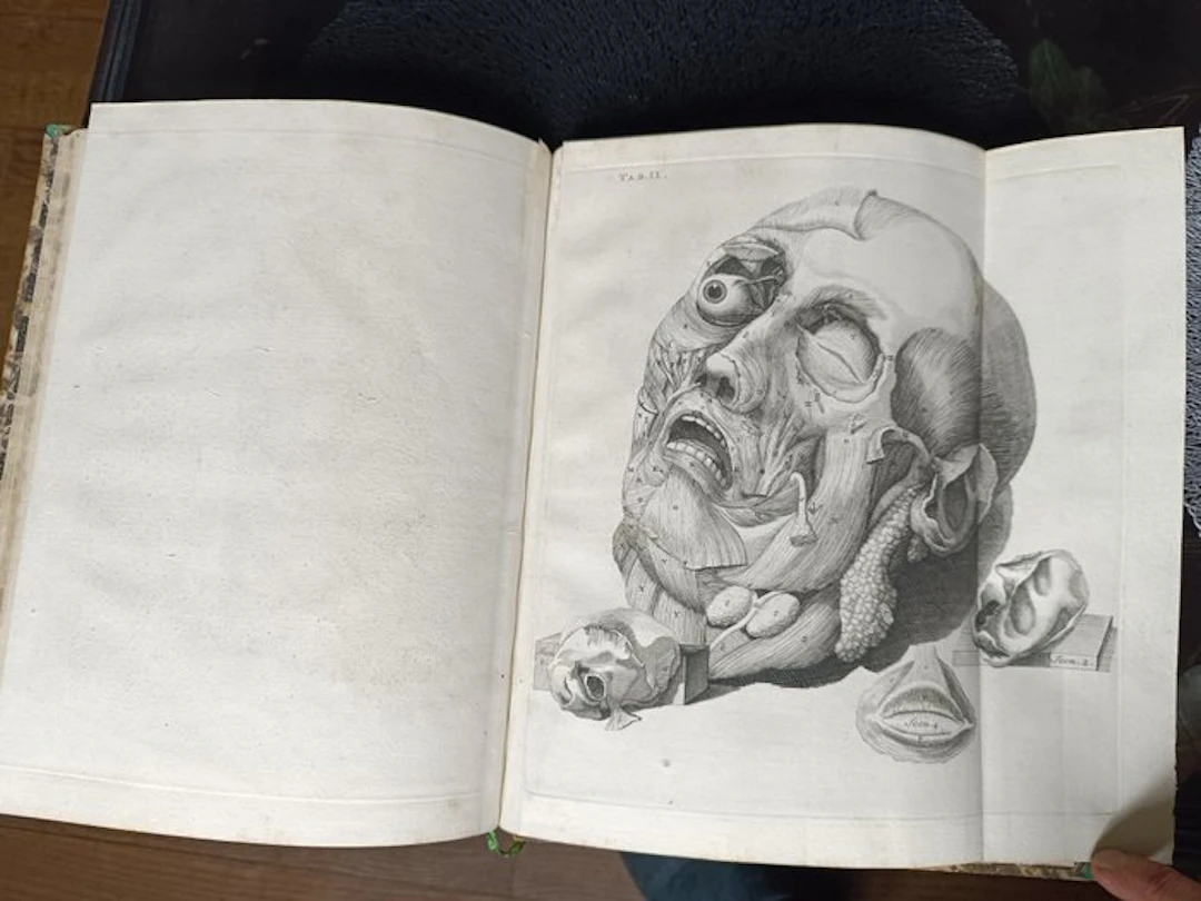 David Cornélius De Courcelles - Icônes Musculorum Capitis - 1743