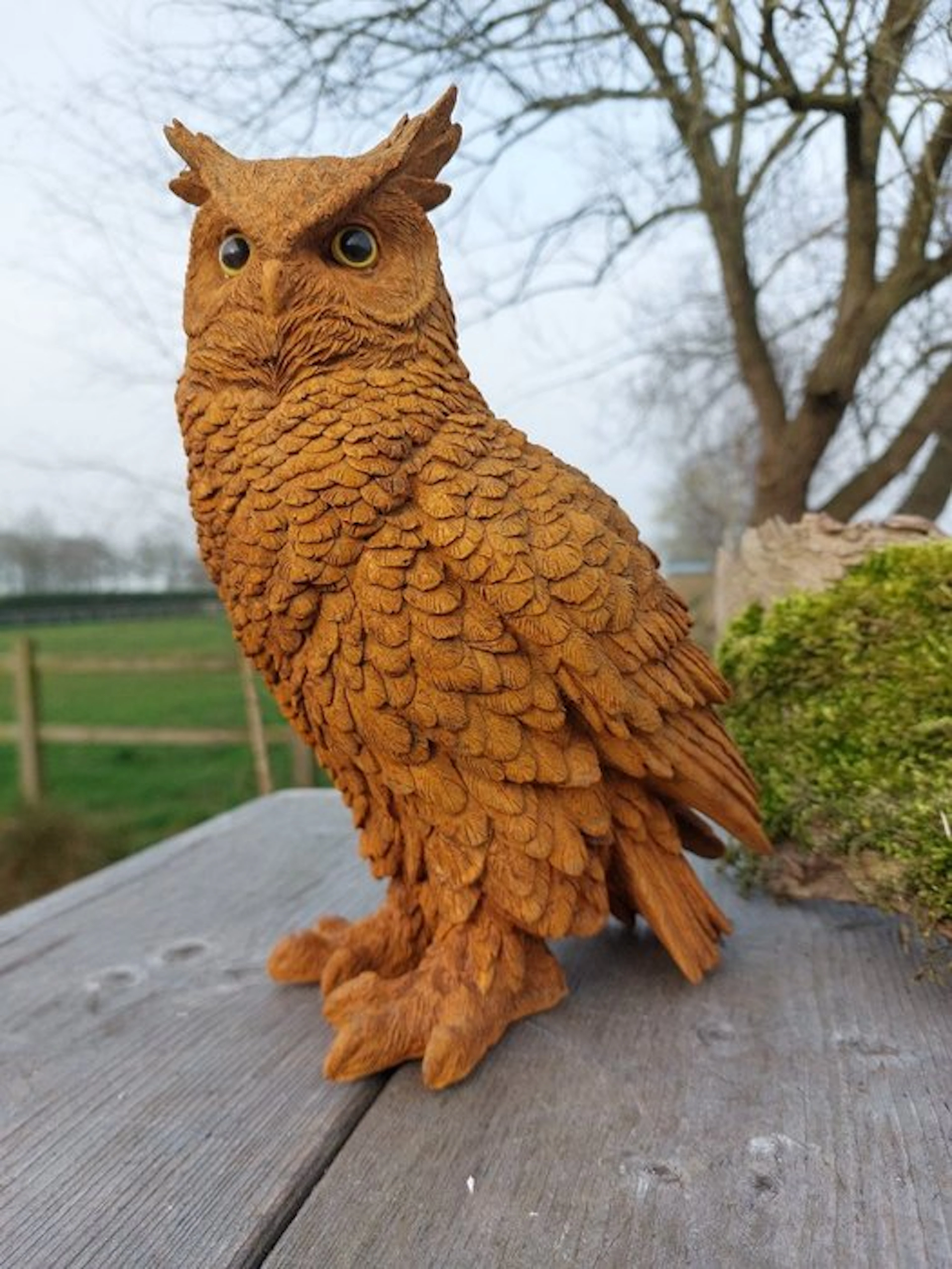 Statue, large owl - 27 cm - polyresin