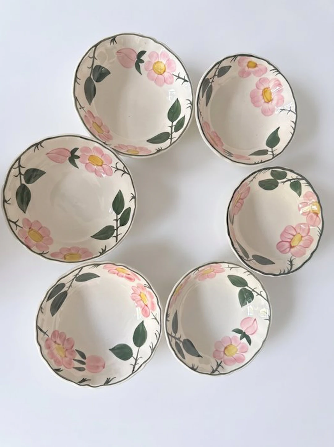 Villeroy & Boch - Bowl (6) - wild-Rose - Porcelain