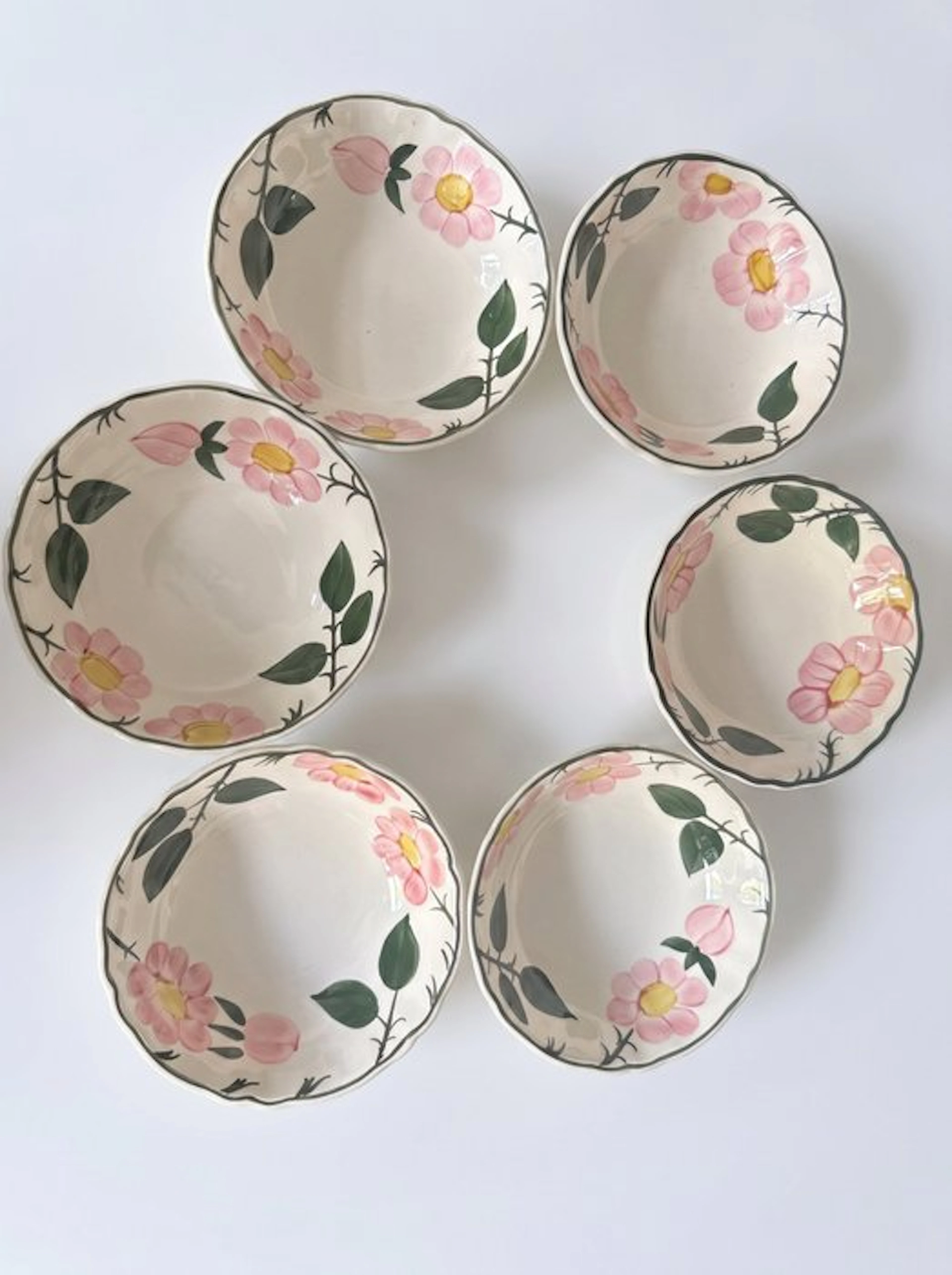 Villeroy & Boch - Bowl (6) - wild-Rose - Porcelain